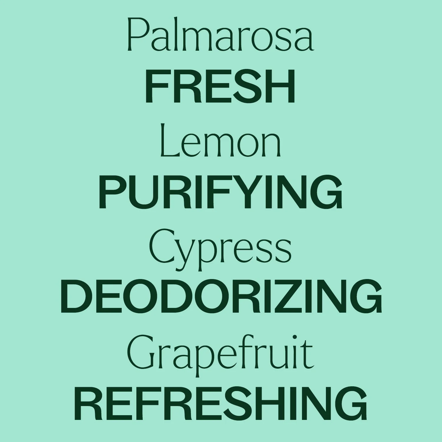 Deodorizing Powder - Image 6