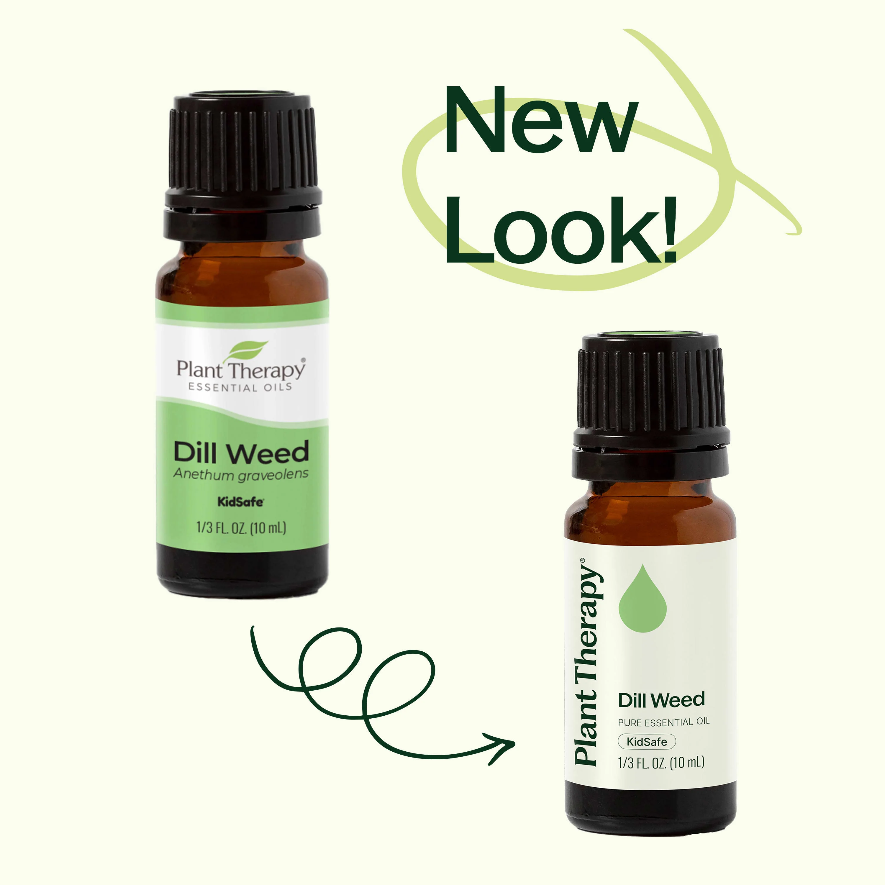 Dill Weed Essential Oil - Image 7