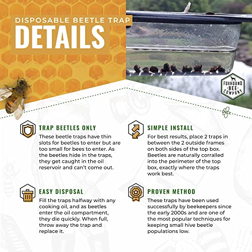 Disposable Small Hive Beetle Trap - Image 2