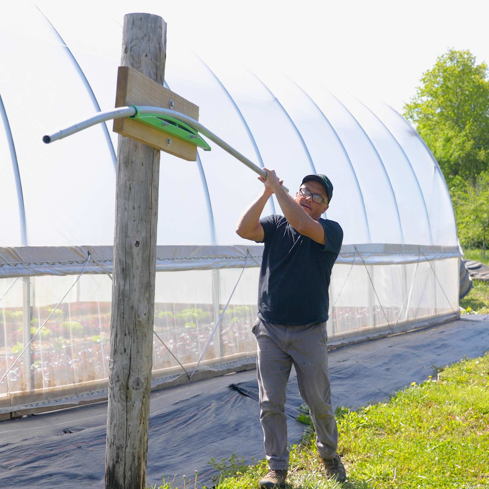 DIY Gothic Greenhouse Kit - Image 9