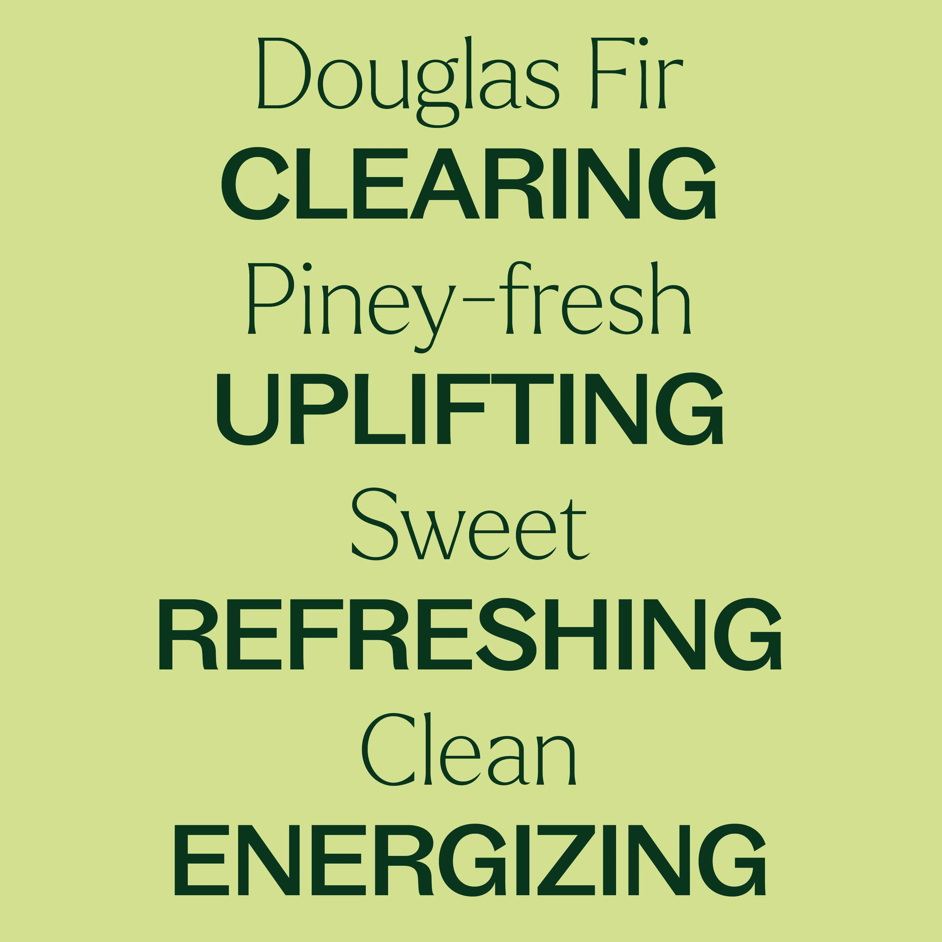 Douglas Fir Essential Oil - Image 6