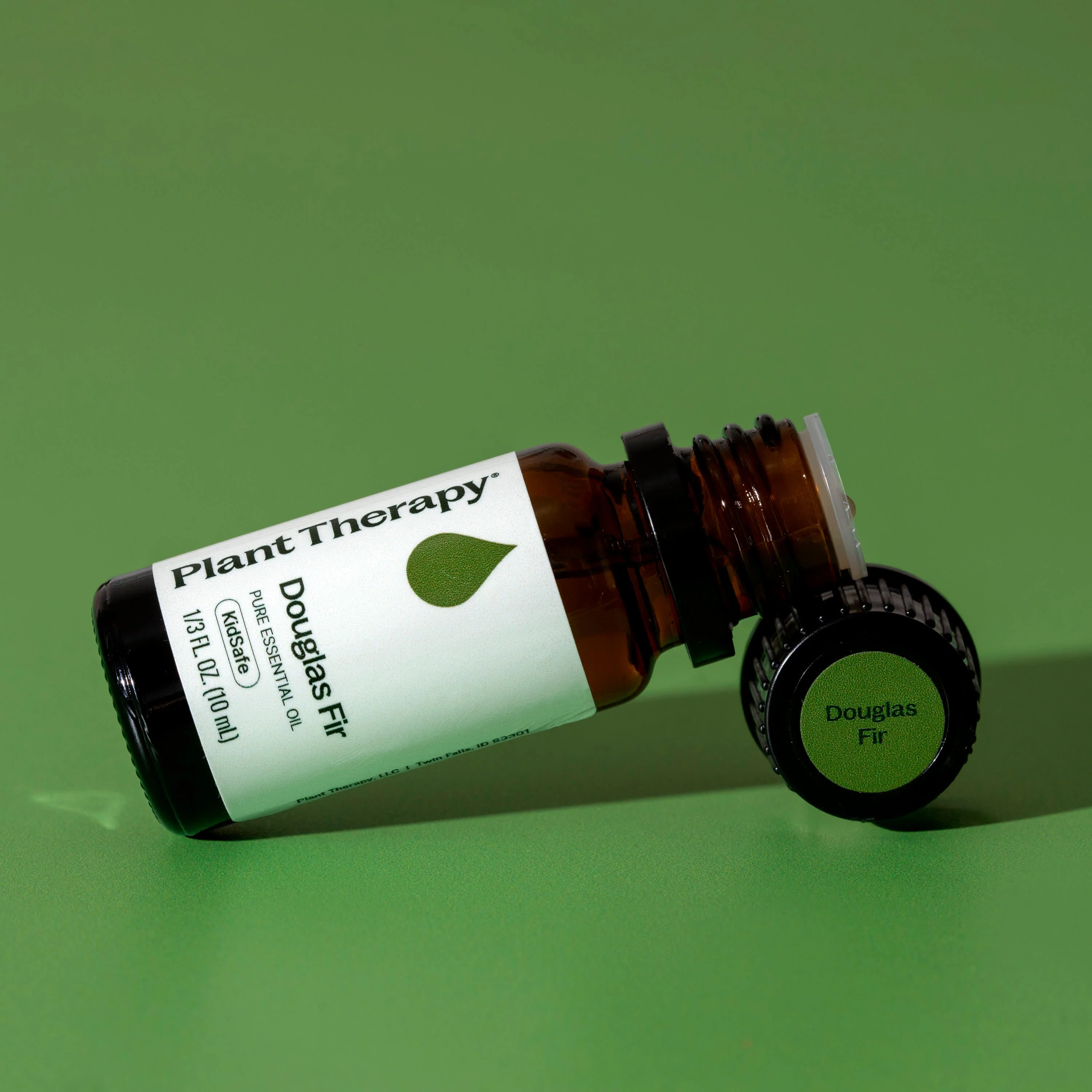Douglas Fir Essential Oil - Image 9