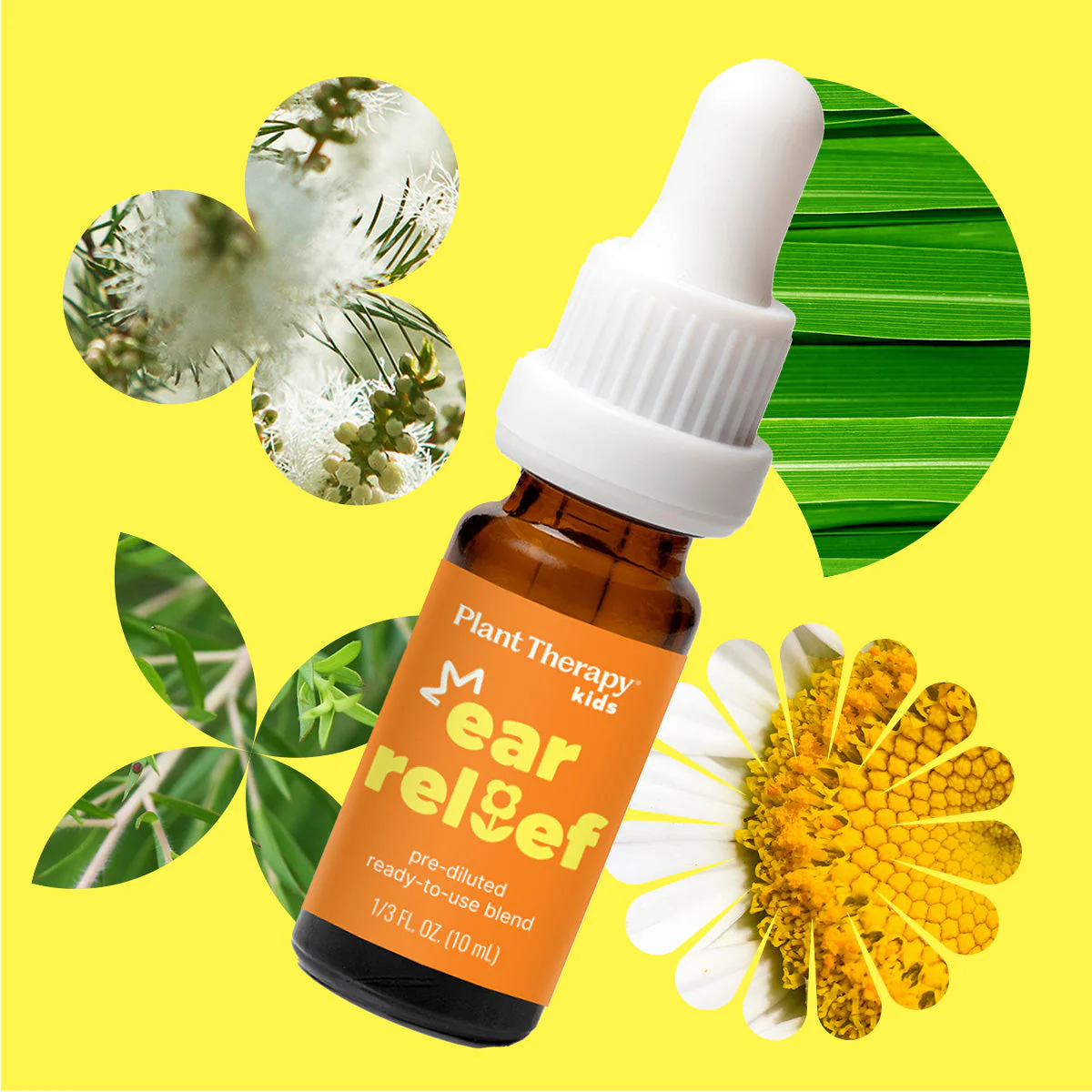 Ear Relief Essential Oil - Image 7