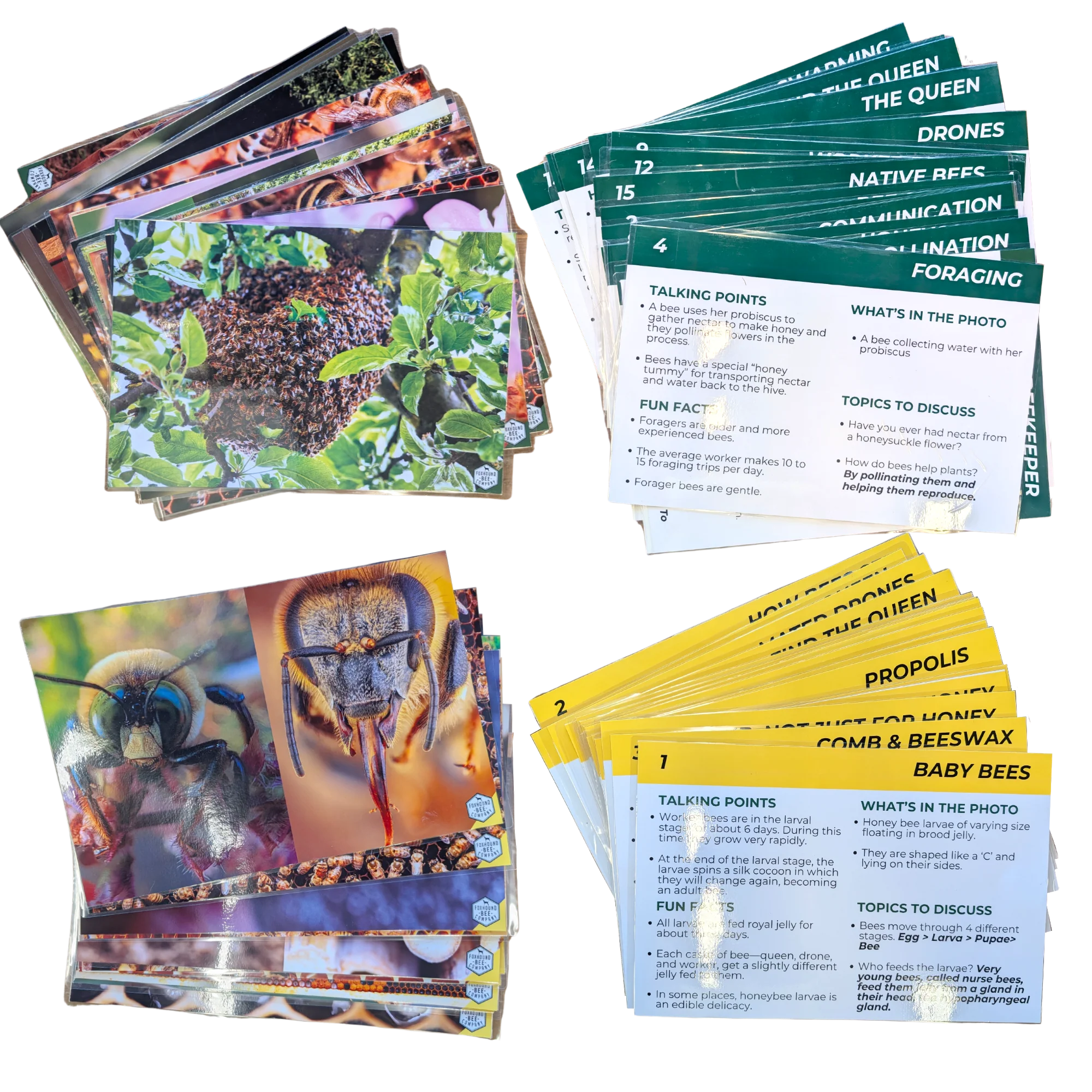 Educational Beekeeping Cards - Image 12