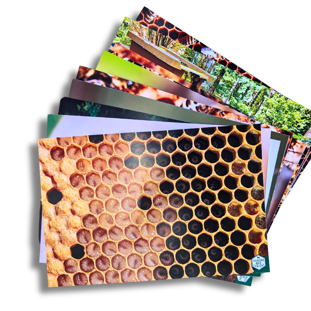 Educational Beekeeping Cards - Image 13