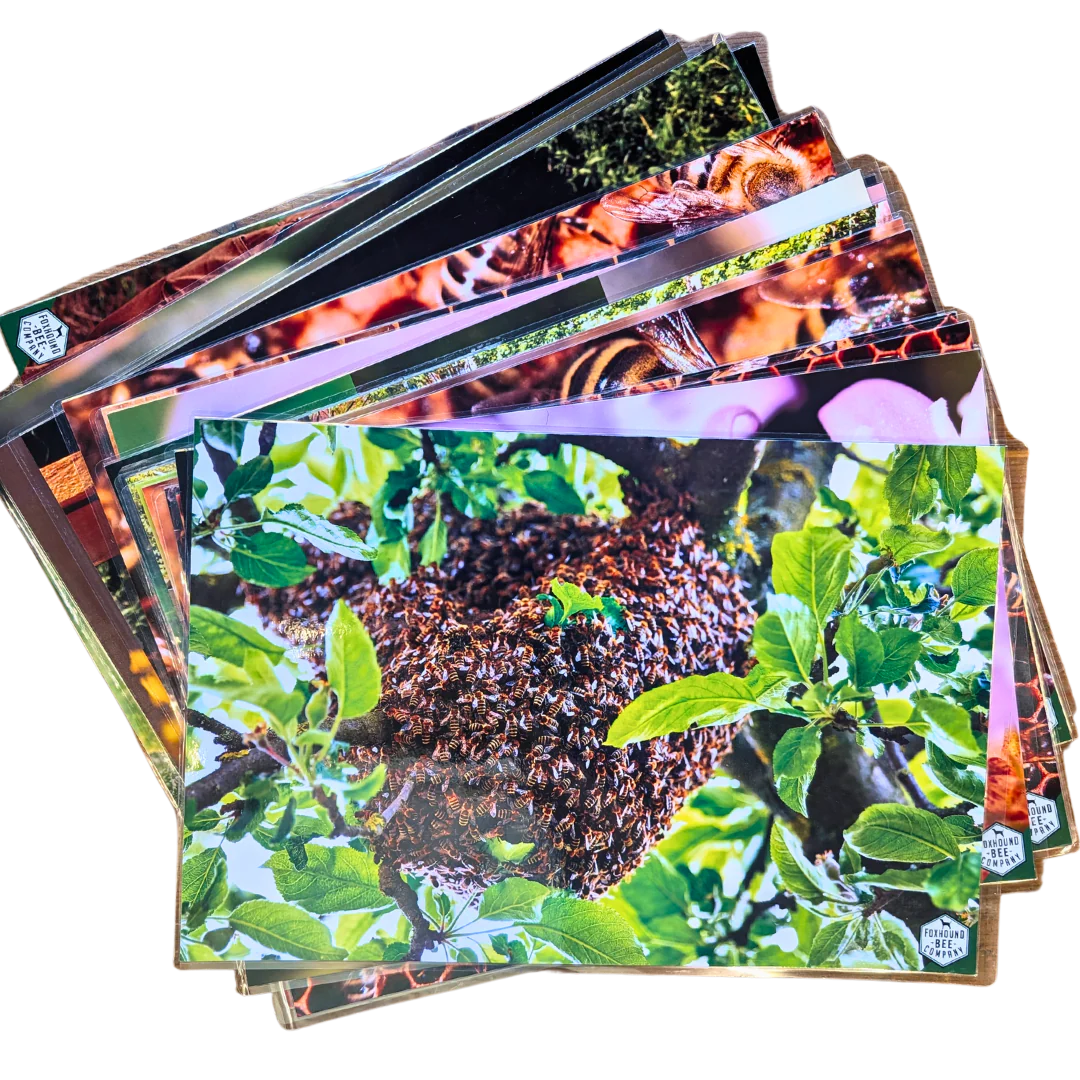 Educational Beekeeping Cards - Image 14
