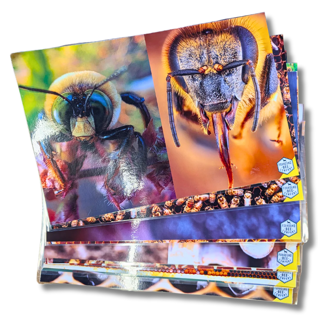 Educational Beekeeping Cards - Image 15