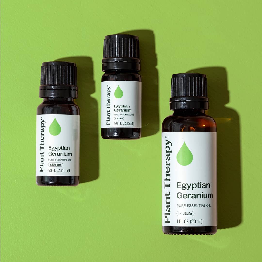 Egyptian Geranium Essential Oil - Image 12