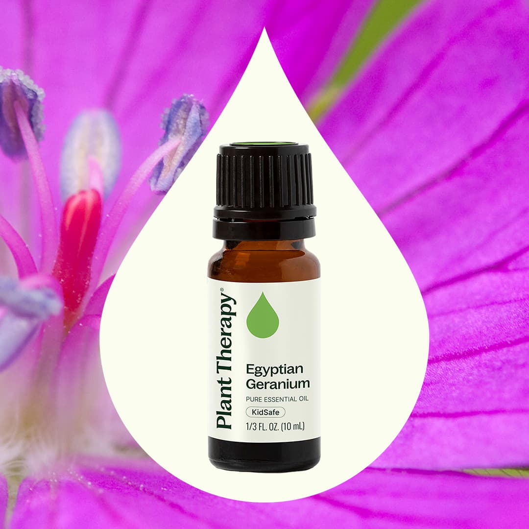 Egyptian Geranium Essential Oil - Image 2