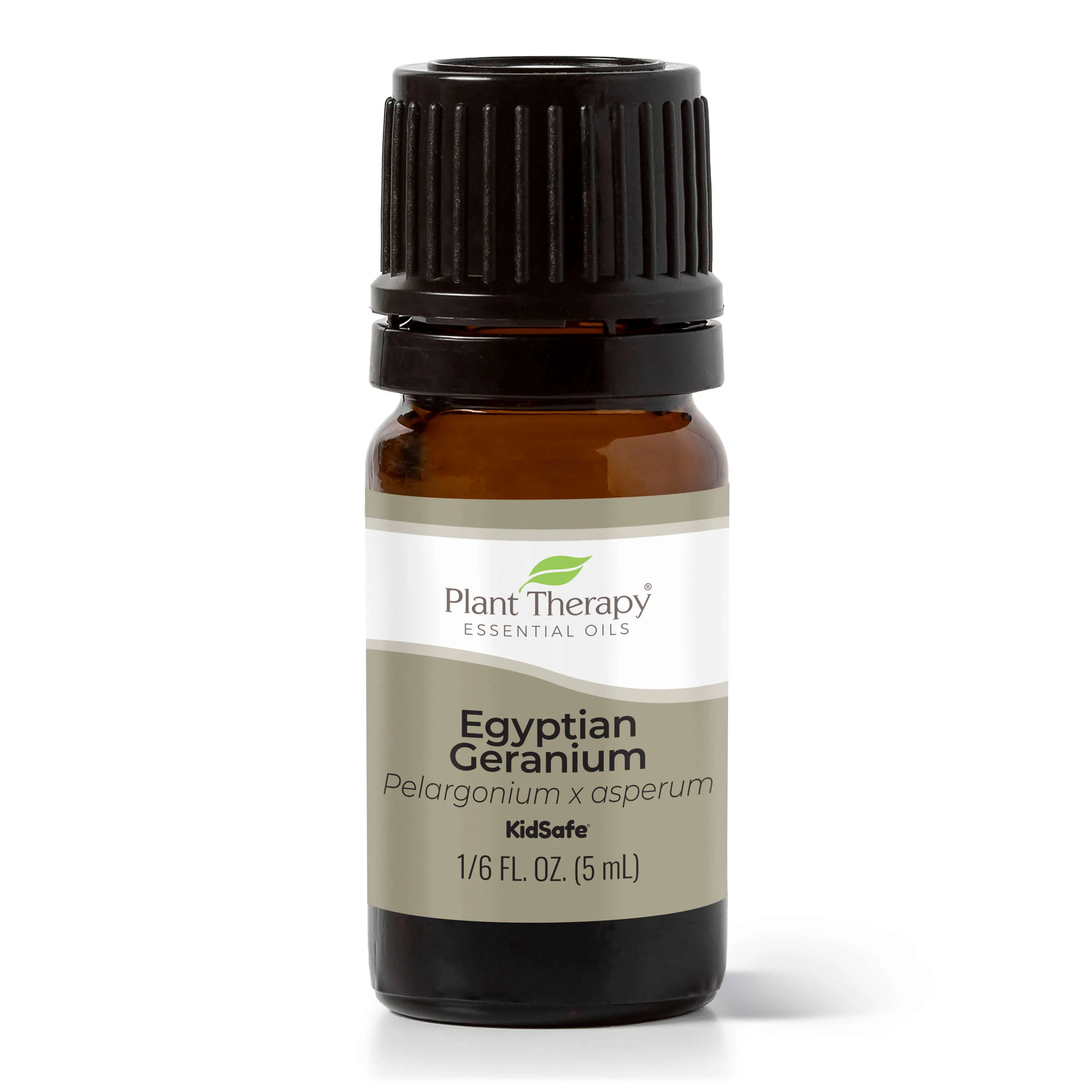 Egyptian Geranium Essential Oil - Image 4