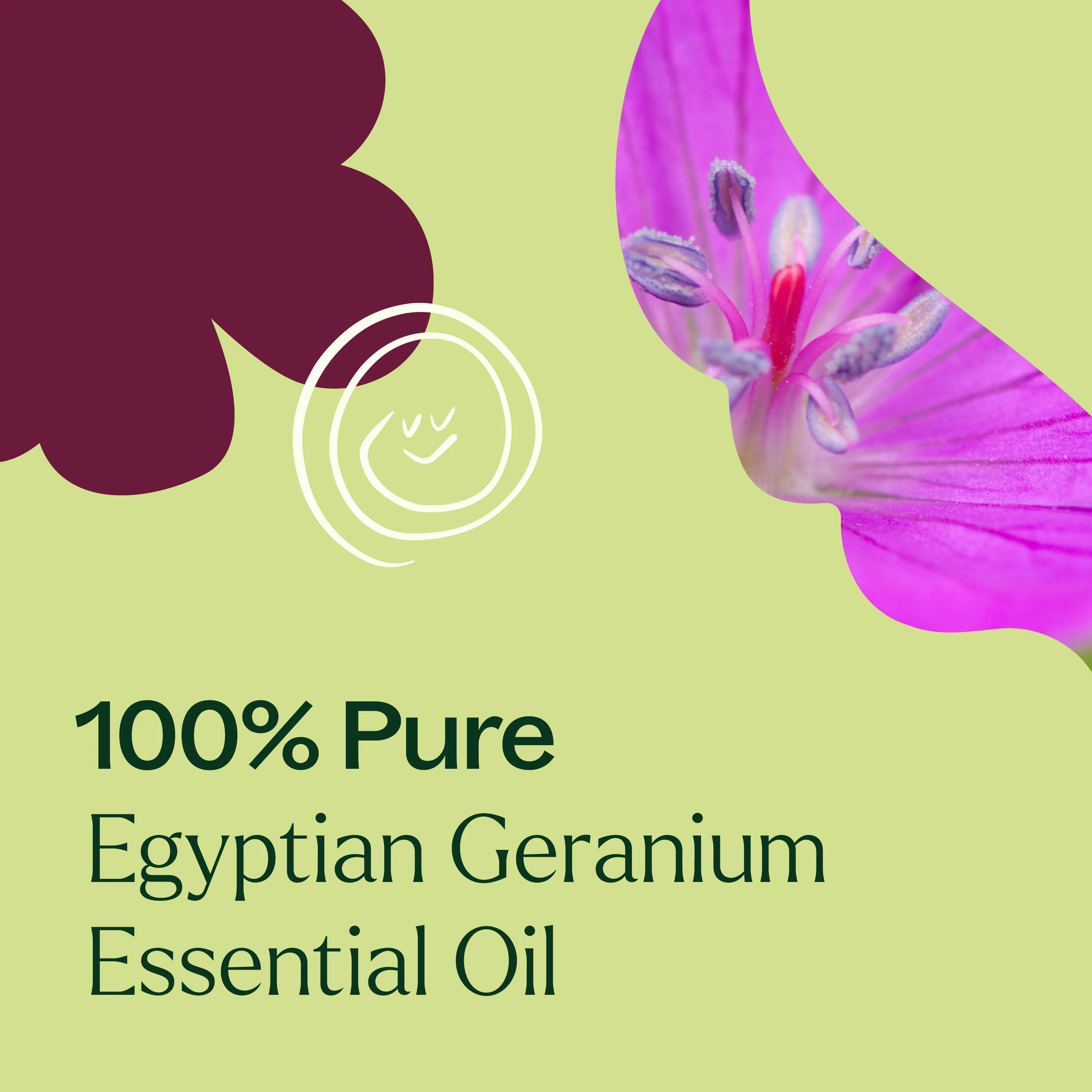 Egyptian Geranium Essential Oil - Image 5