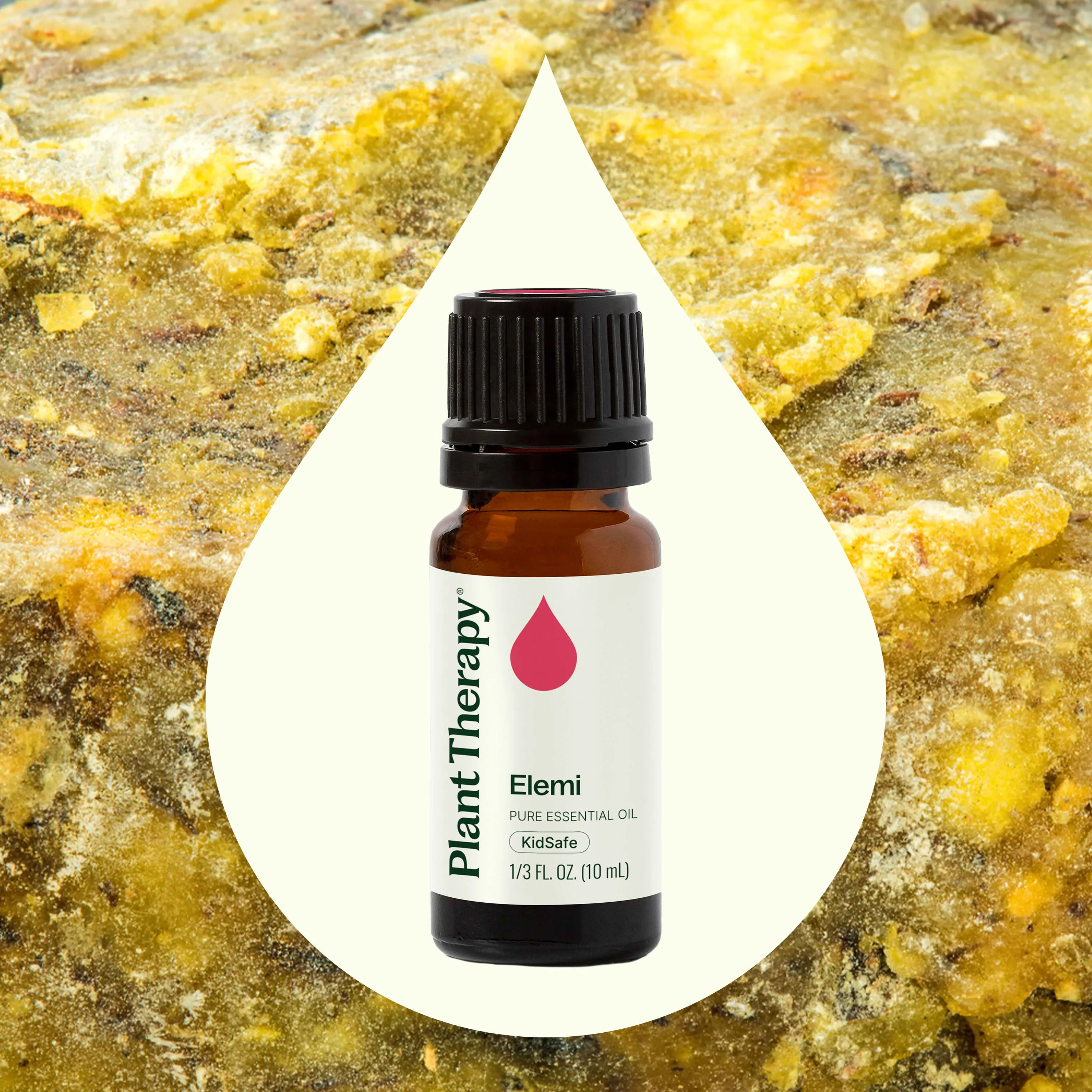 Elemi Essential Oil - Image 2