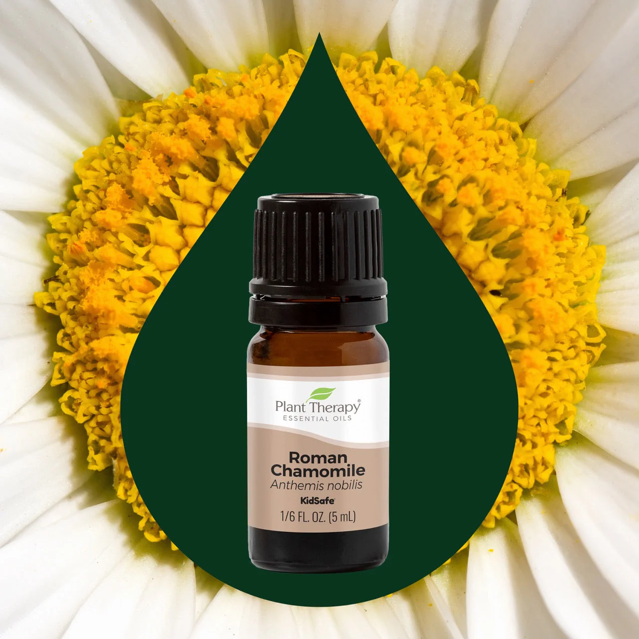Essential Oils Emergency Kit - Image 10