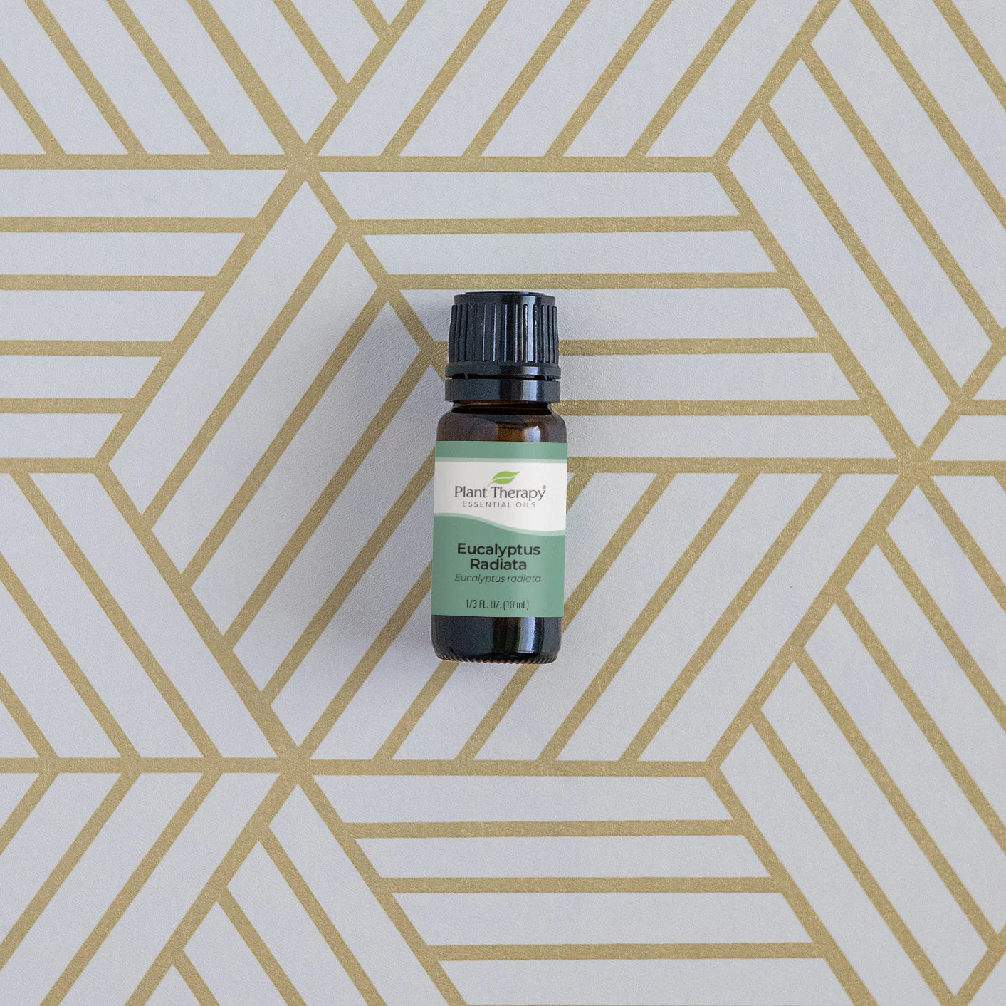 Essential Oils Emergency Kit - Image 11