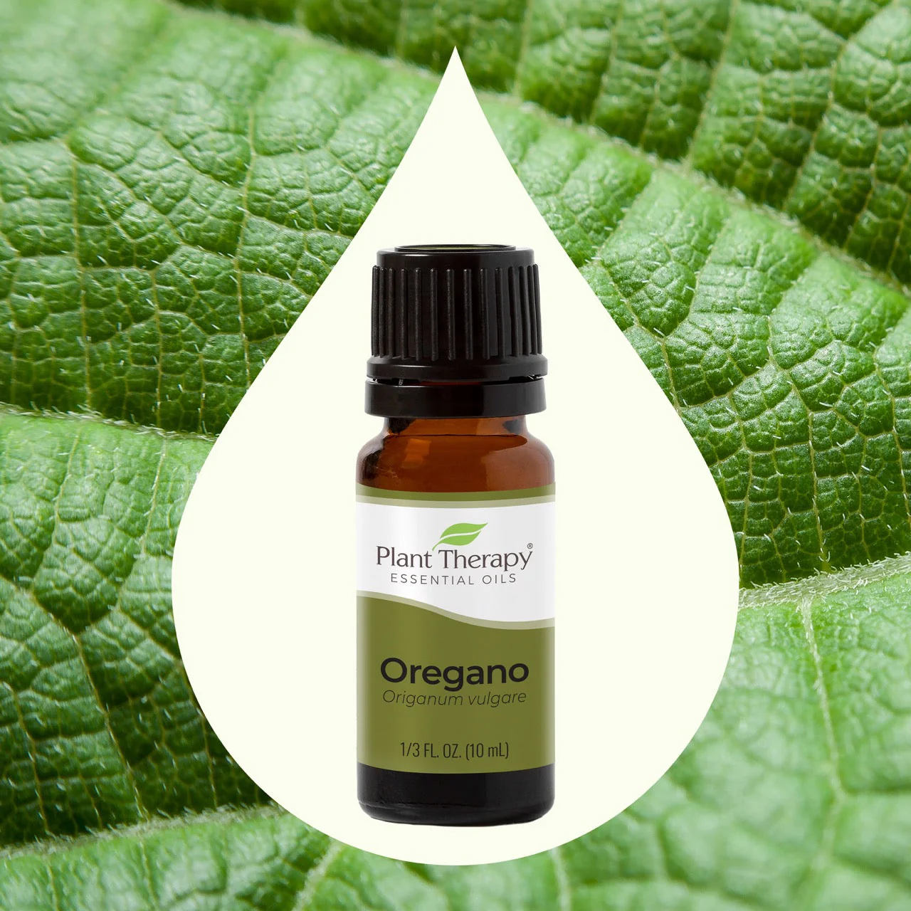 Essential Oils Emergency Kit - Image 8