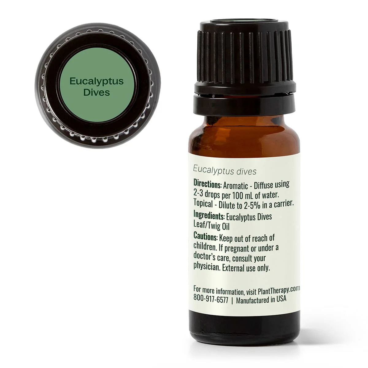 Eucalyptus Dives Essential Oil - Image 10