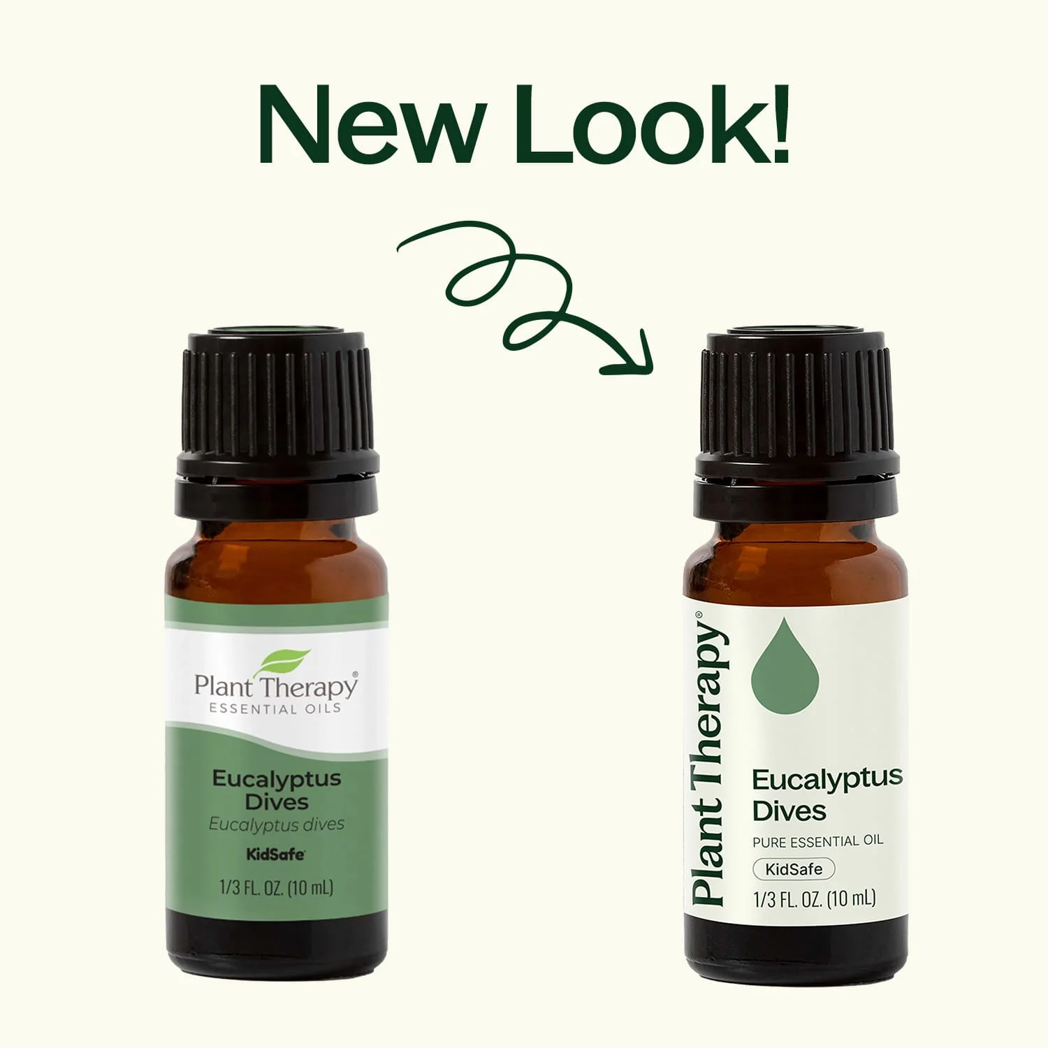 Eucalyptus Dives Essential Oil - Image 3