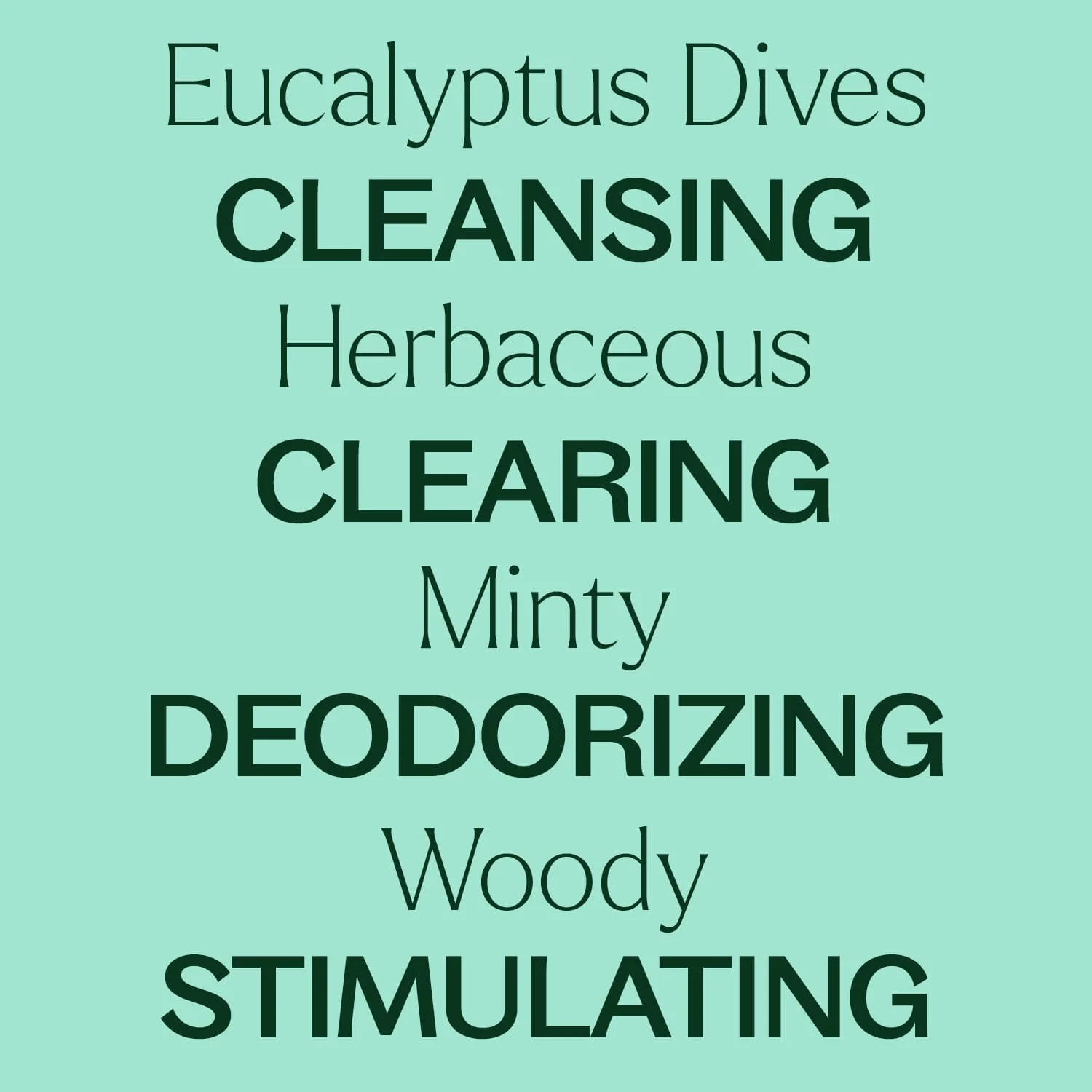 Eucalyptus Dives Essential Oil - Image 6