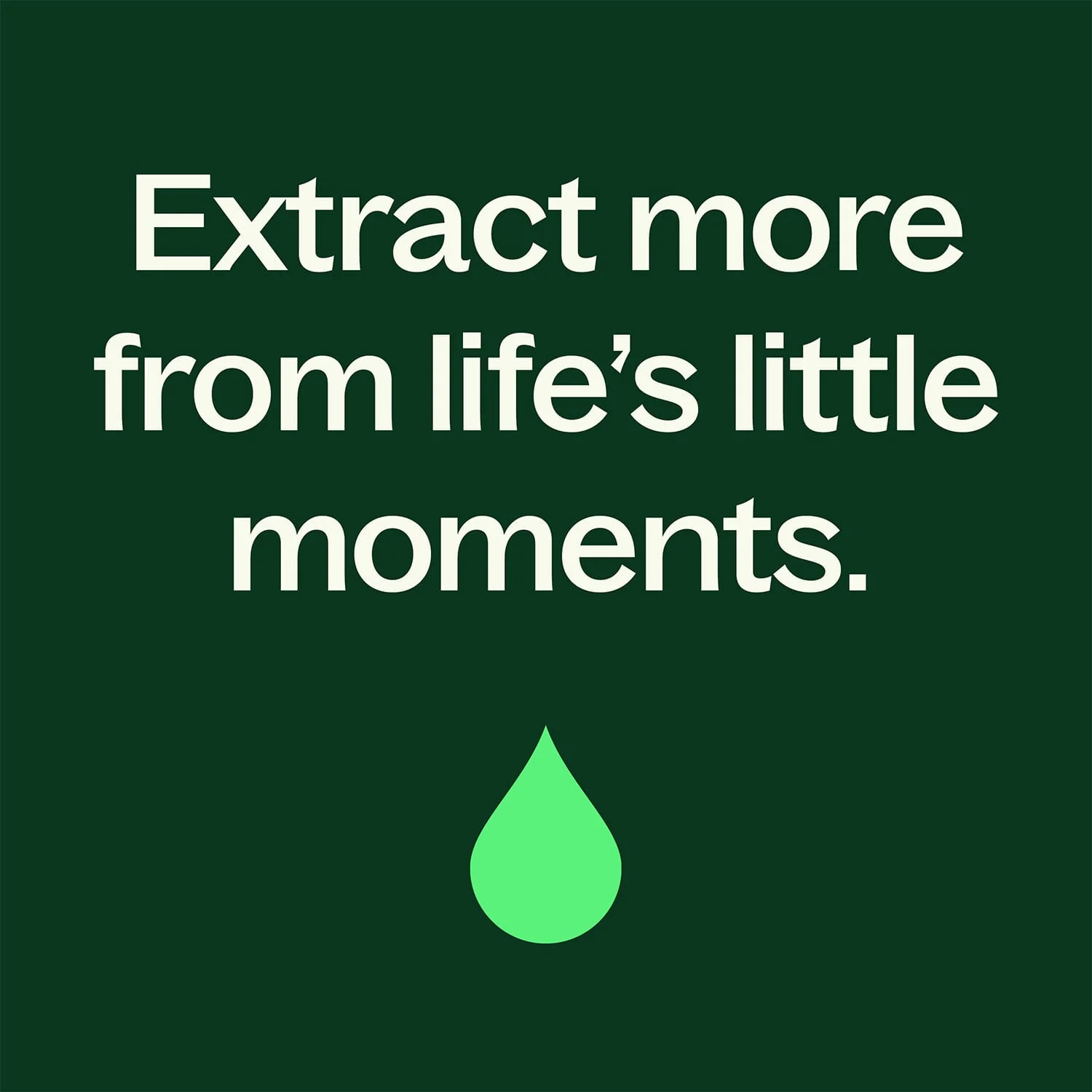 Eucalyptus Dives Essential Oil - Image 9