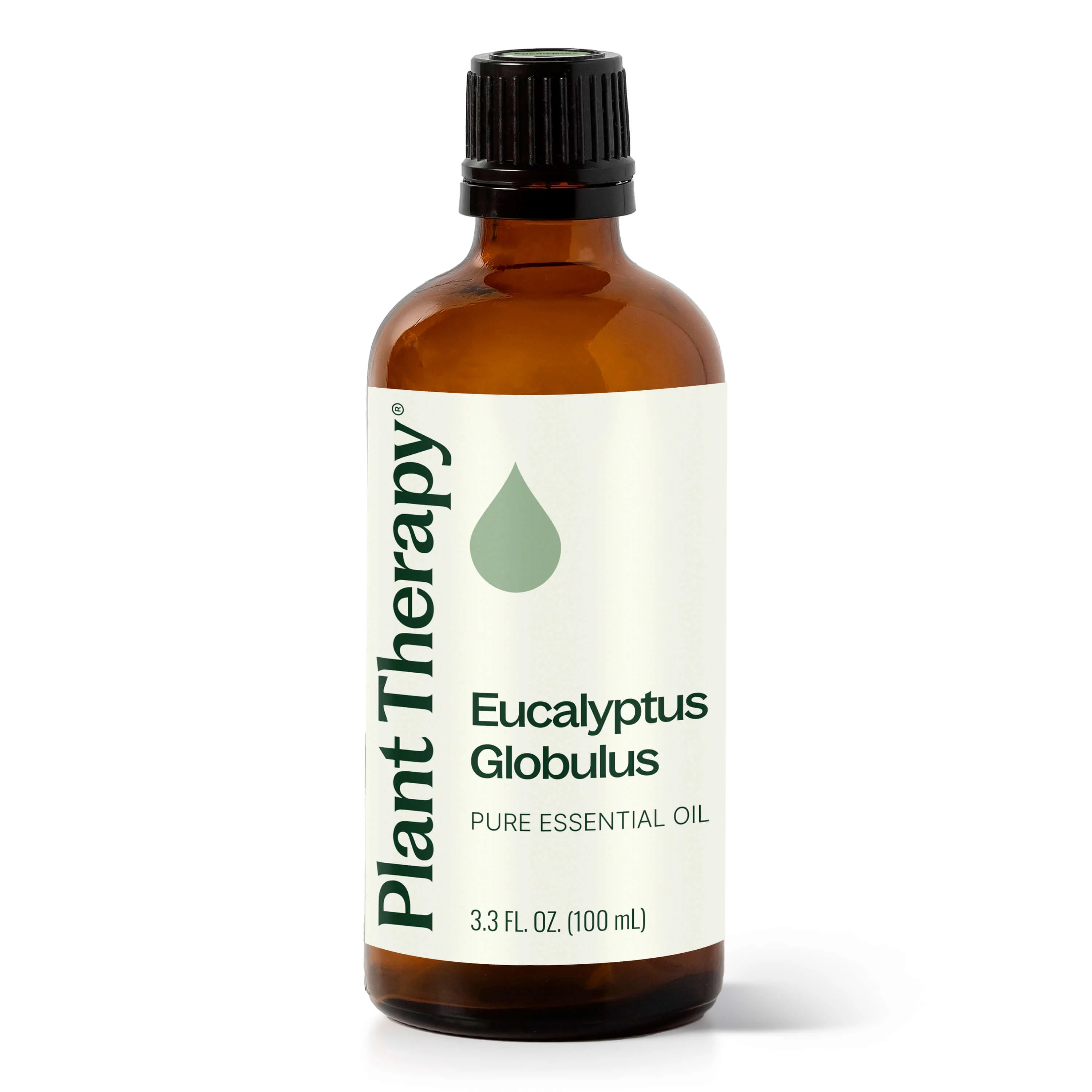 Eucalyptus Globulus Essential Oil - Image 11