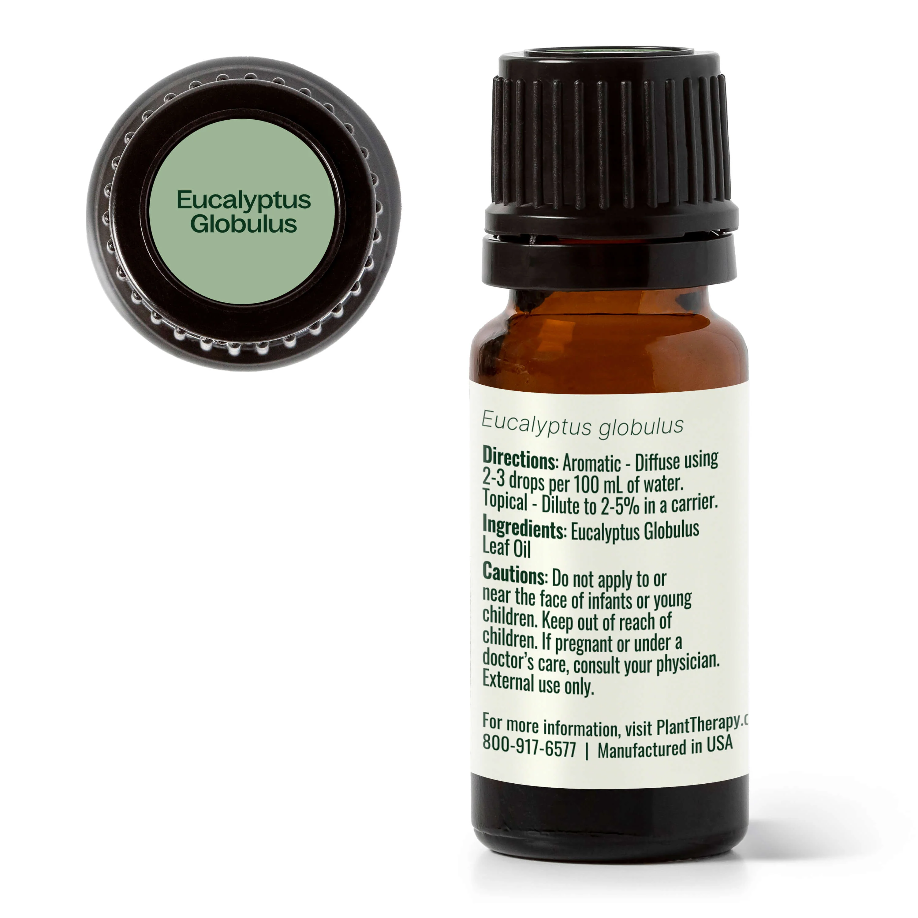 Eucalyptus Globulus Essential Oil - Image 12