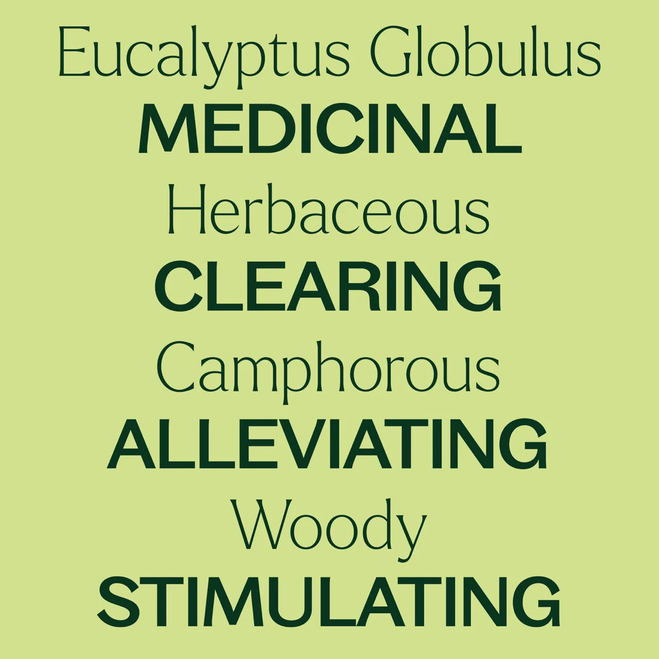 Eucalyptus Globulus Essential Oil - Image 4