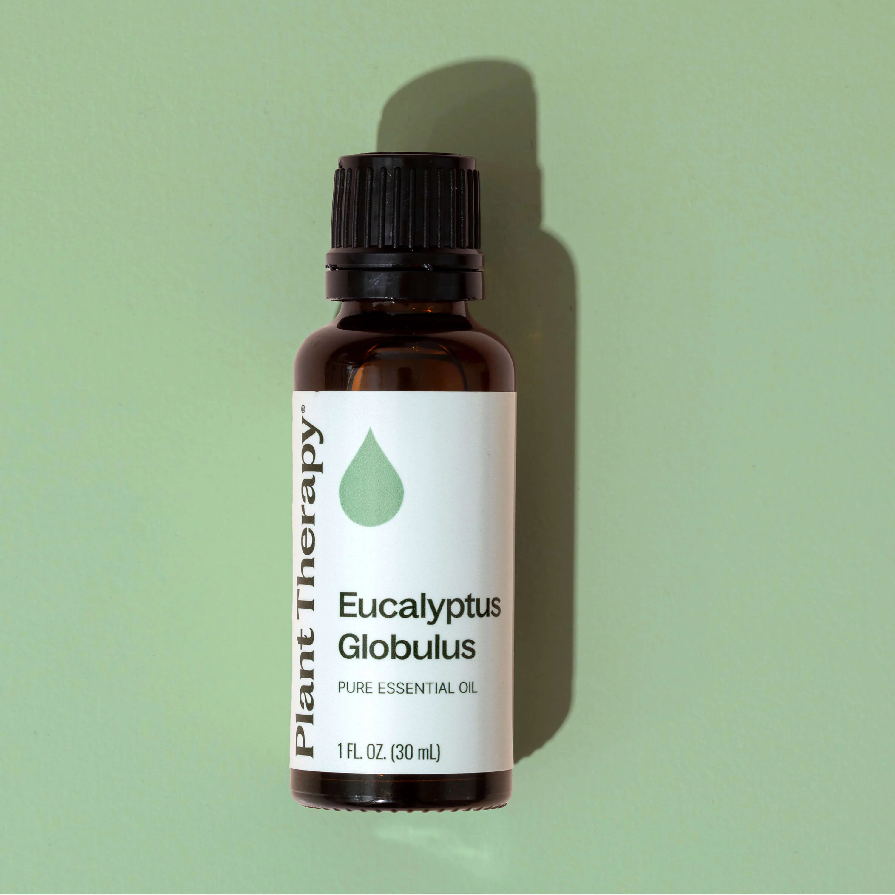 Eucalyptus Globulus Essential Oil - Image 7