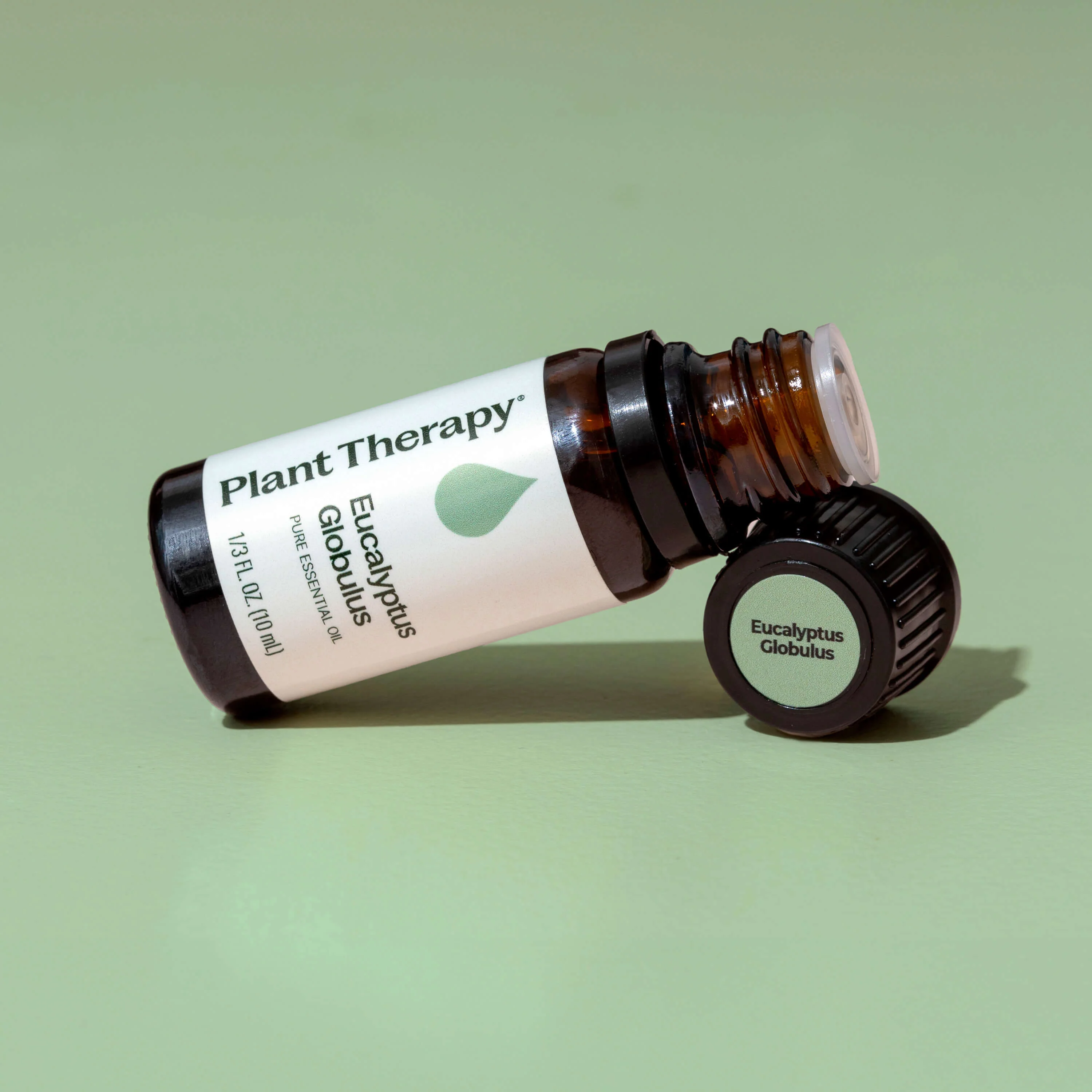 Eucalyptus Globulus Essential Oil - Image 8