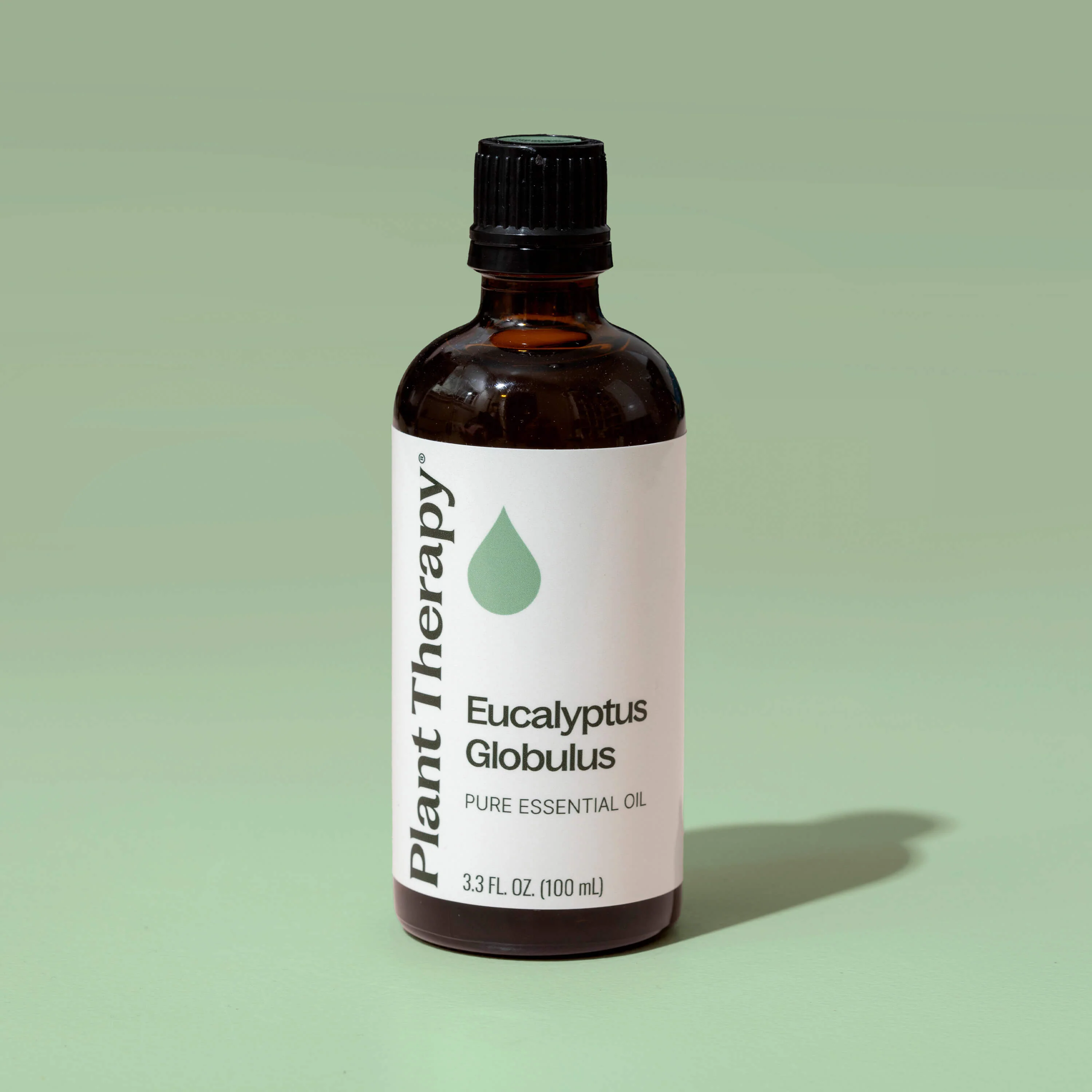 Eucalyptus Globulus Essential Oil - Image 9