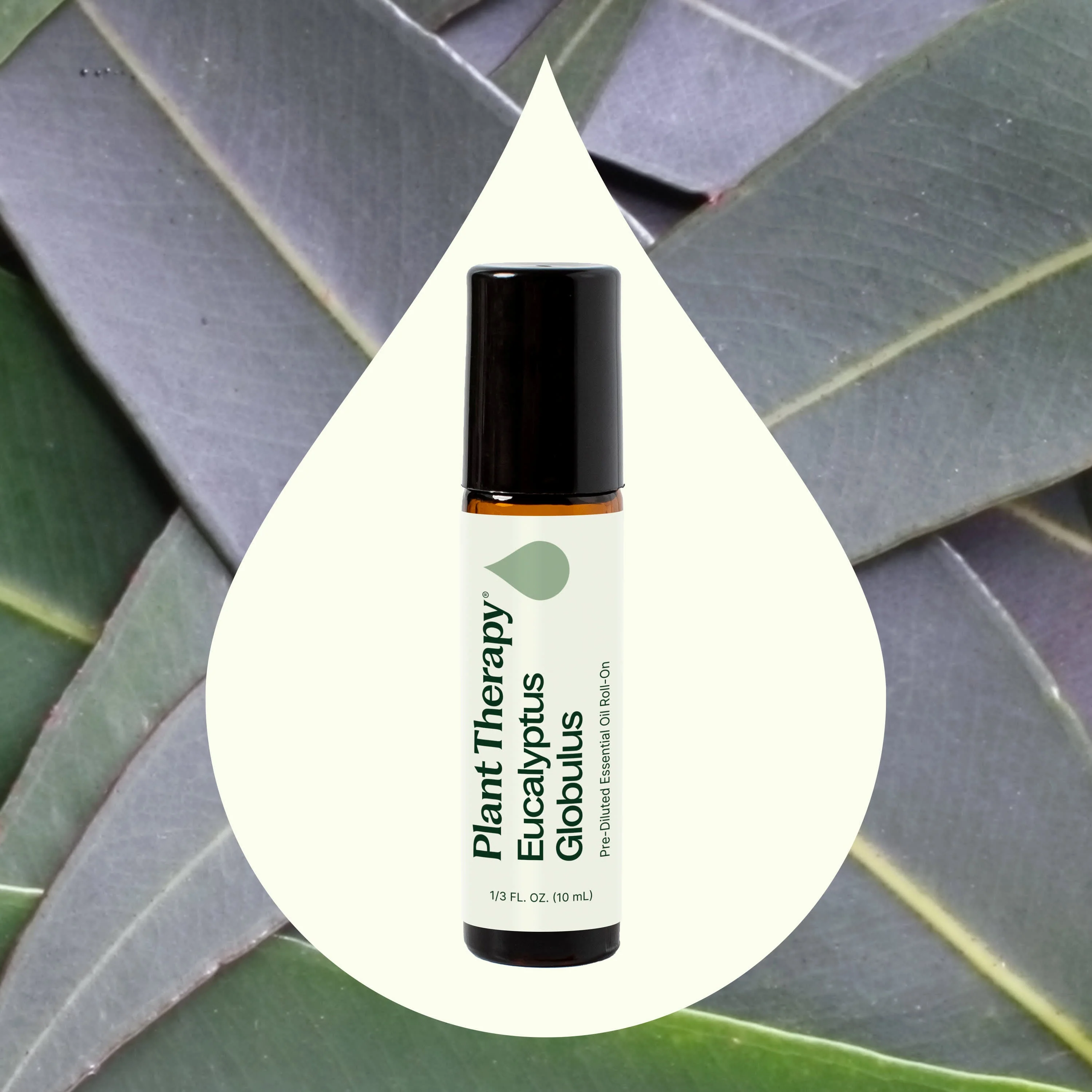 Eucalyptus Globulus Essential Oil Pre-Diluted Roll-On - Image 2