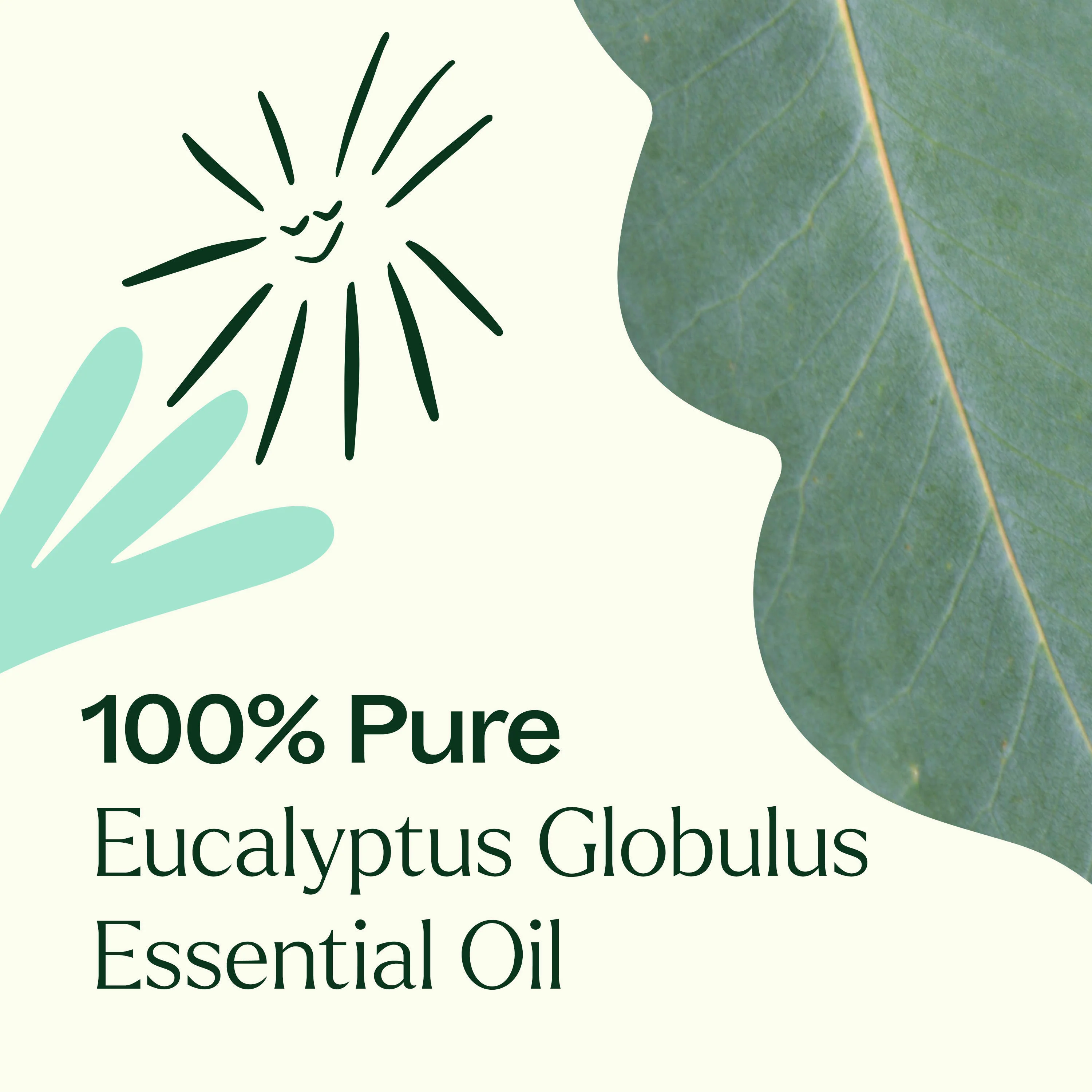 Eucalyptus Globulus Essential Oil Pre-Diluted Roll-On - Image 3