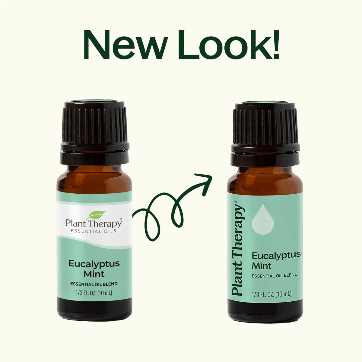 Eucalyptus Mint Essential Oil Blend - Image 3