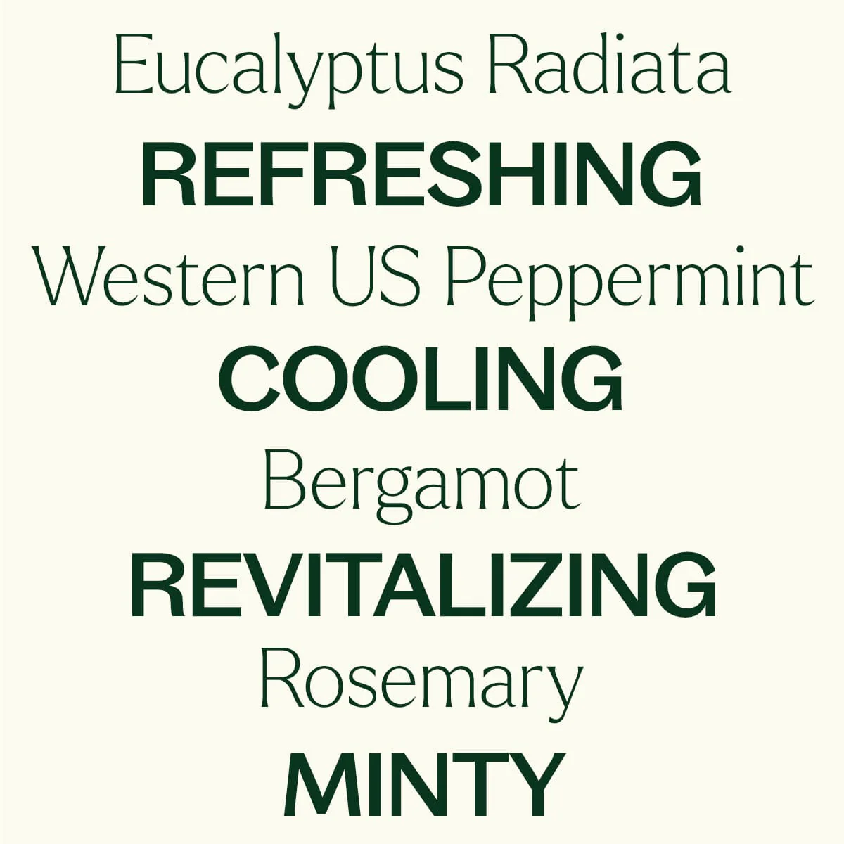 Eucalyptus Mint Essential Oil Blend - Image 5