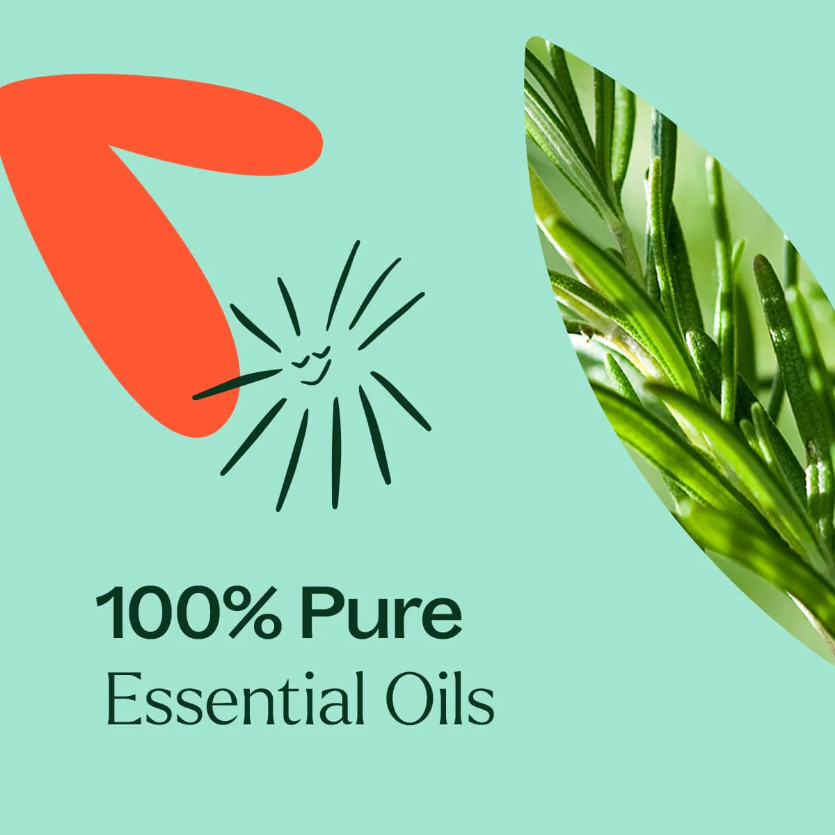 Eucalyptus Mint Essential Oil Blend - Image 6