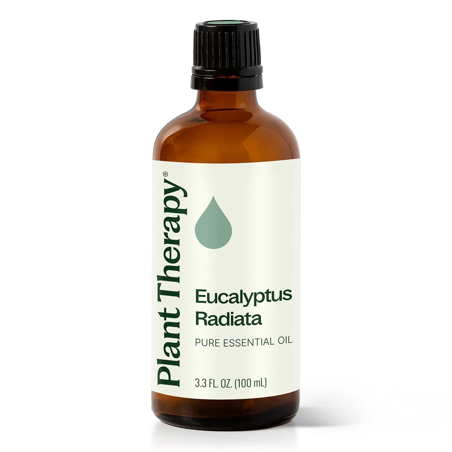 Eucalyptus Radiata Essential Oil - Image 6