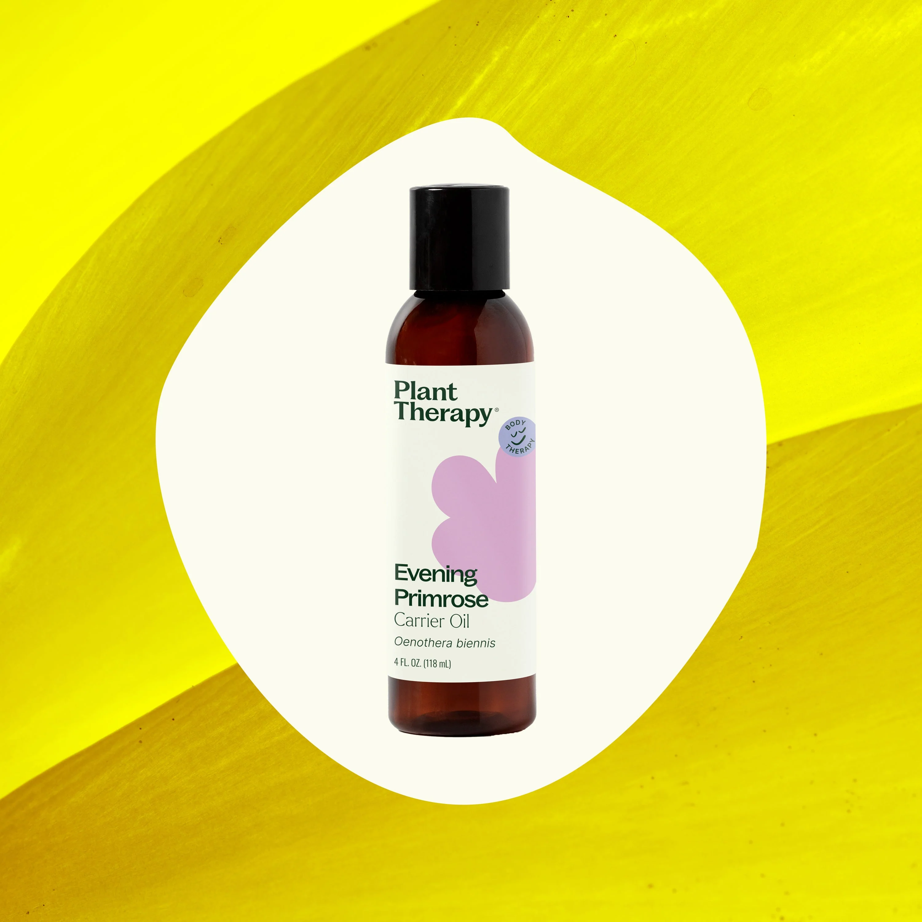 Evening Primrose Carrier Oil - Image 2