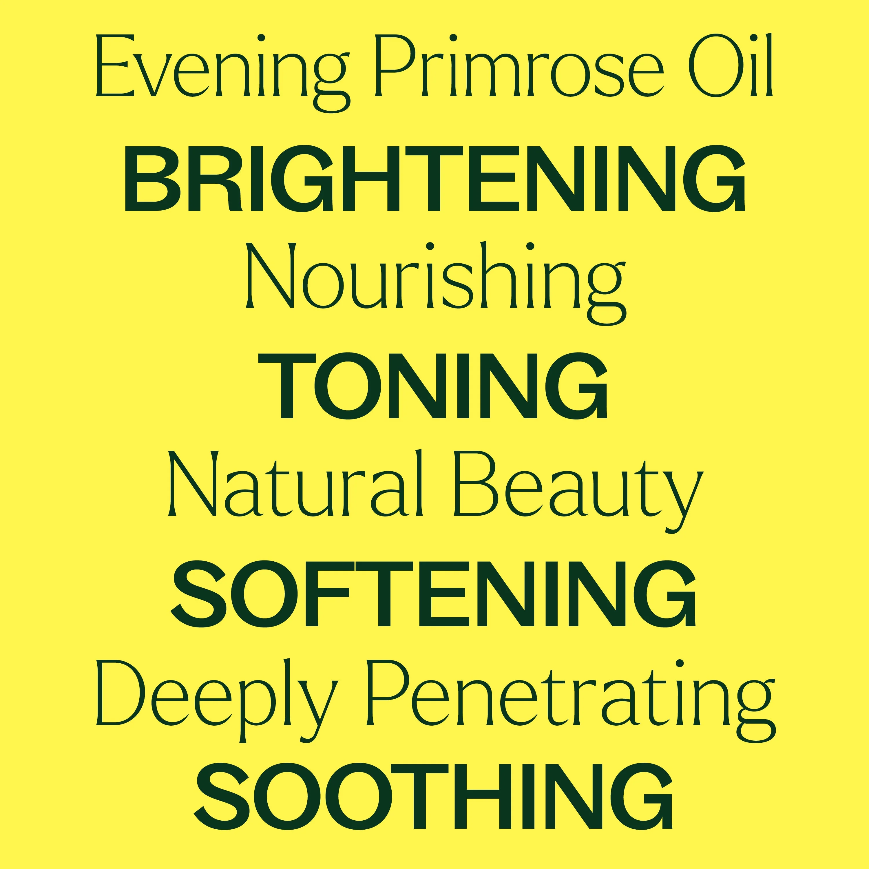 Evening Primrose Carrier Oil - Image 4