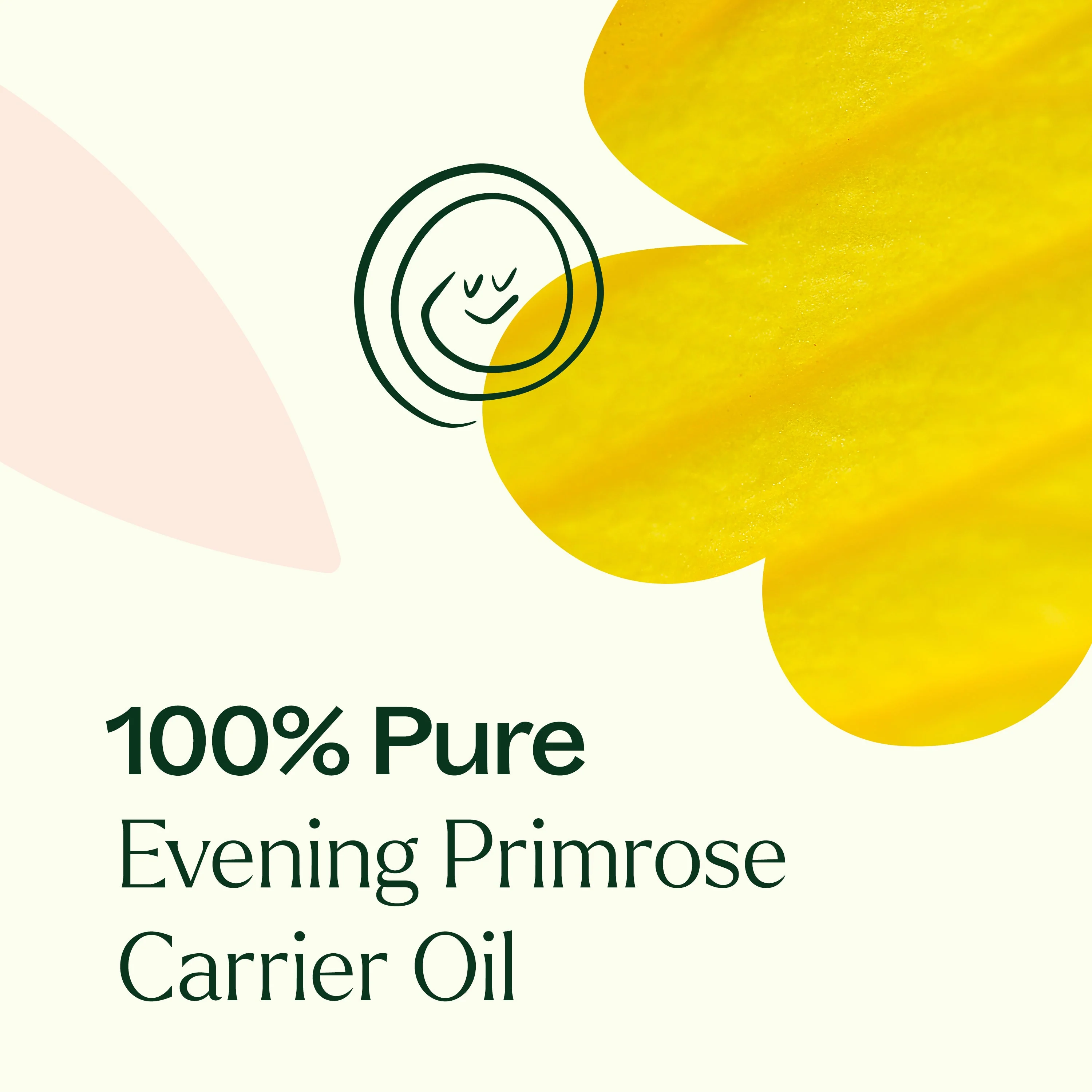 Evening Primrose Carrier Oil - Image 6