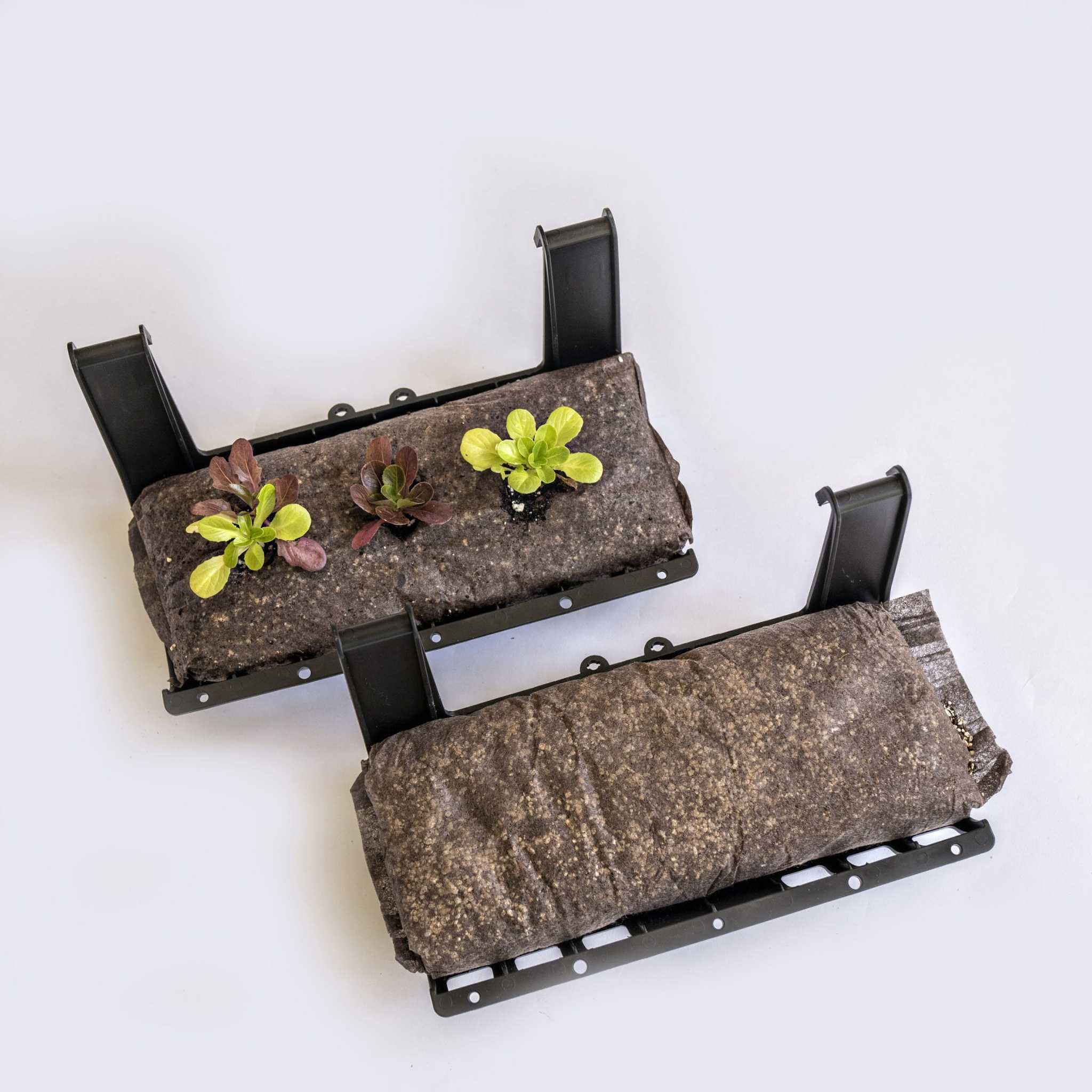 Filled Ellepot Pouches for Vertical Gardens - Image 3