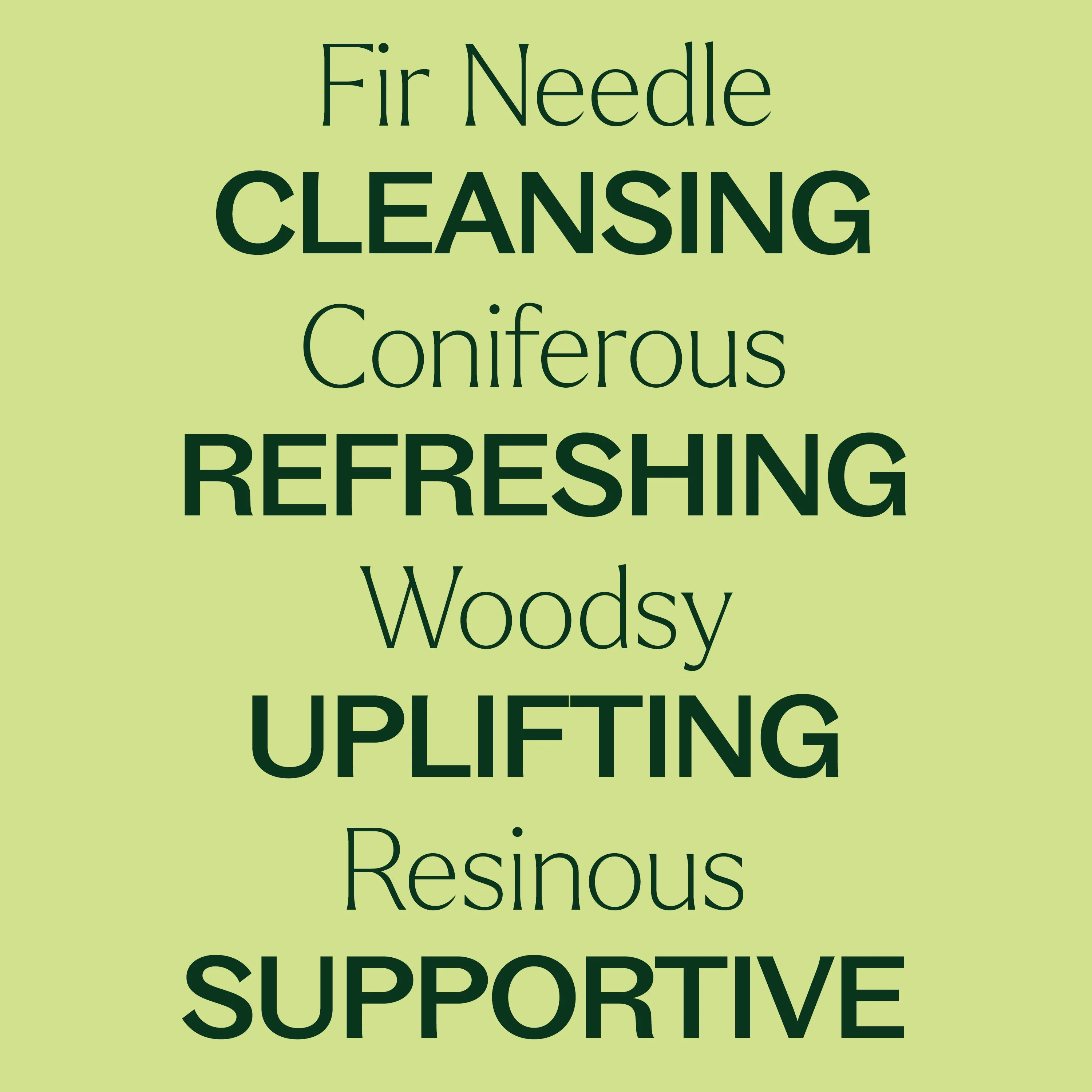 Fir Needle Essential Oil - Image 5