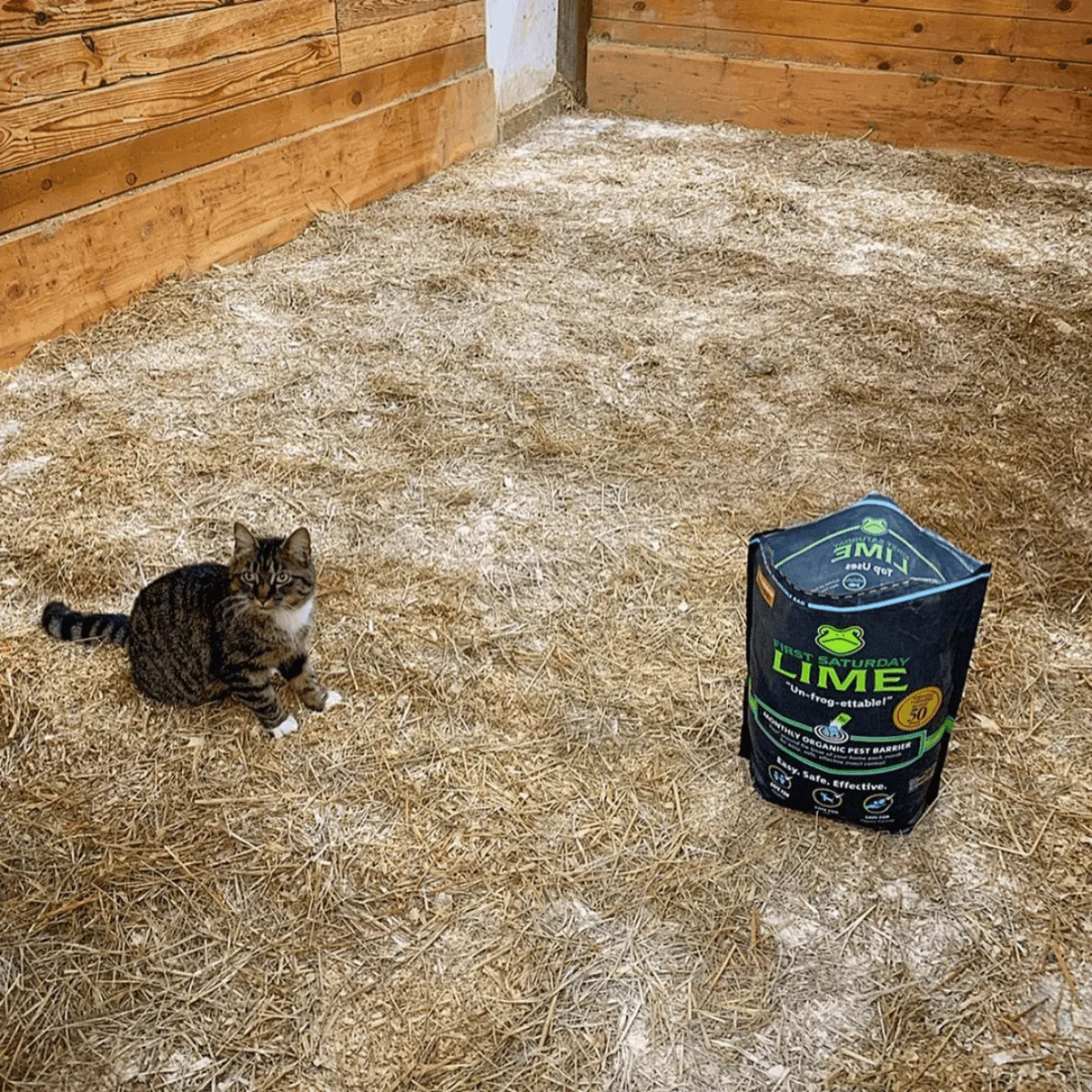 First Saturday Lime Insect Repellent - Image 12