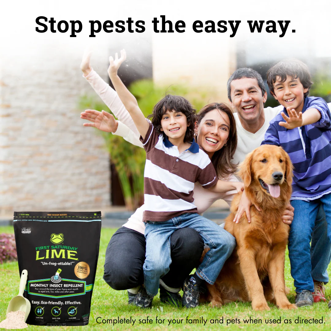 First Saturday Lime Insect Repellent - Image 7