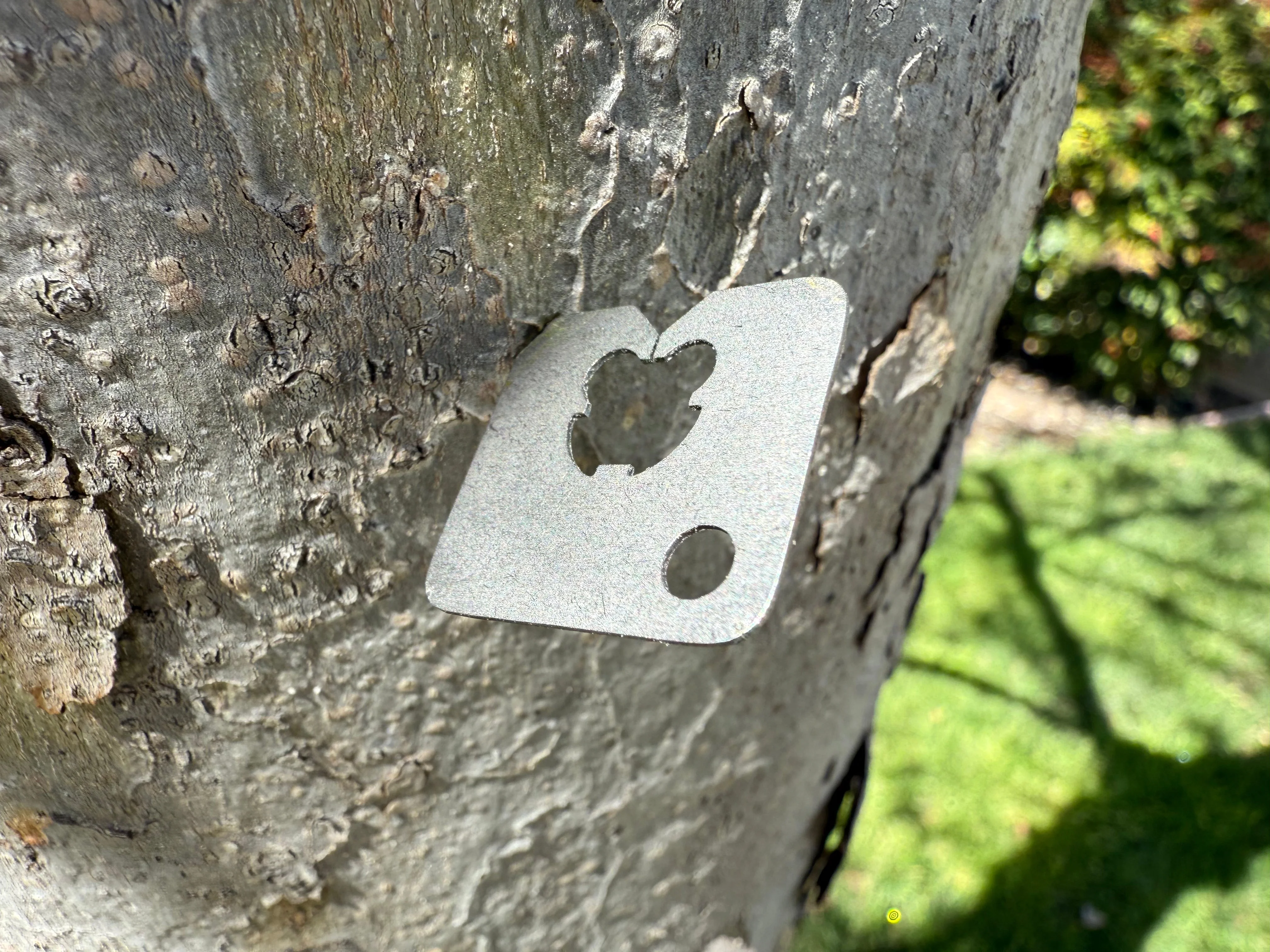 Forever TI-Bread Clip ( 2 Pack ) - Overrun Deal! - Image 2