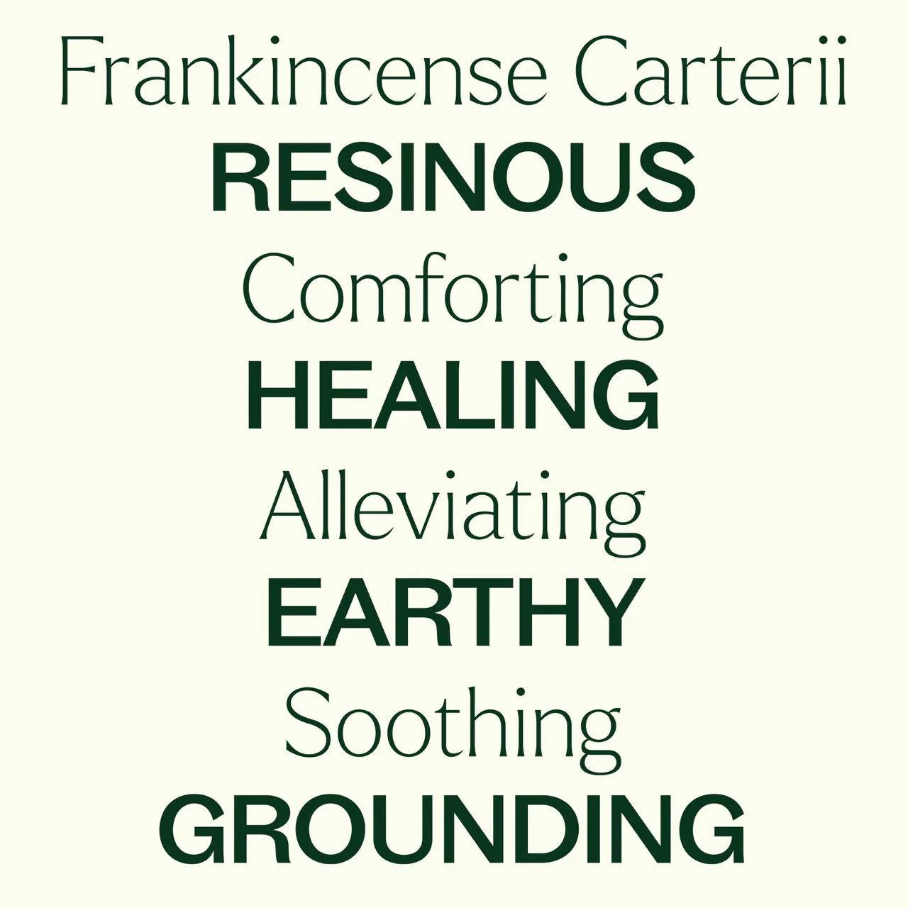 Frankincense Carterii Essential Oil - Image 4