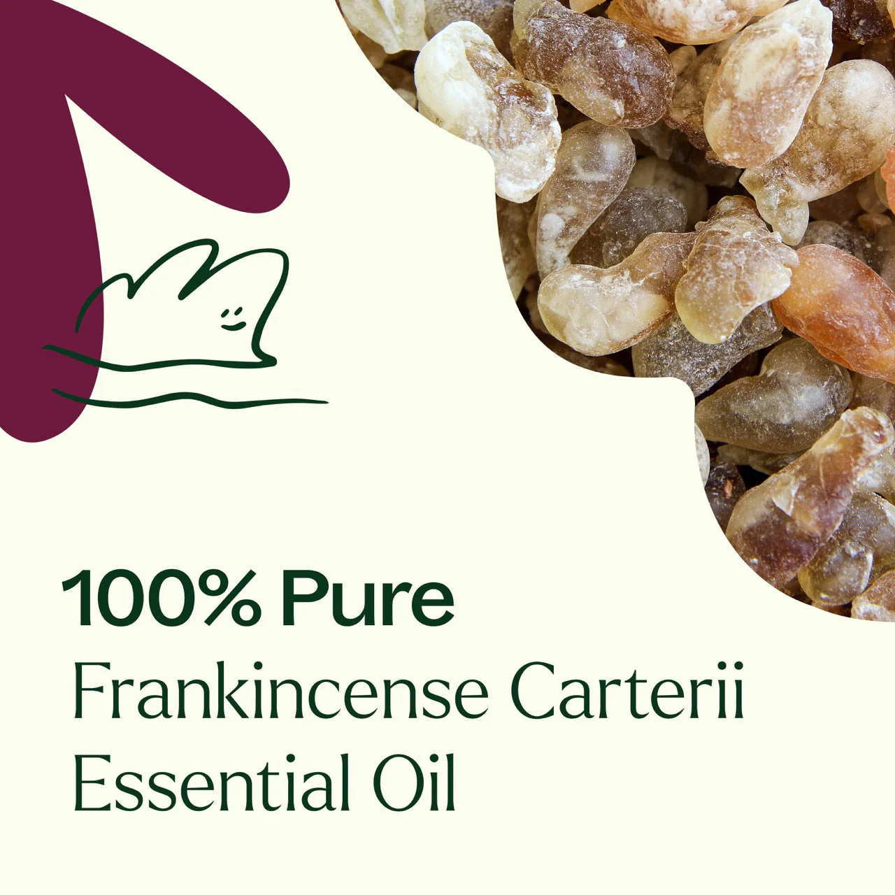 Frankincense Carterii Essential Oil - Image 5