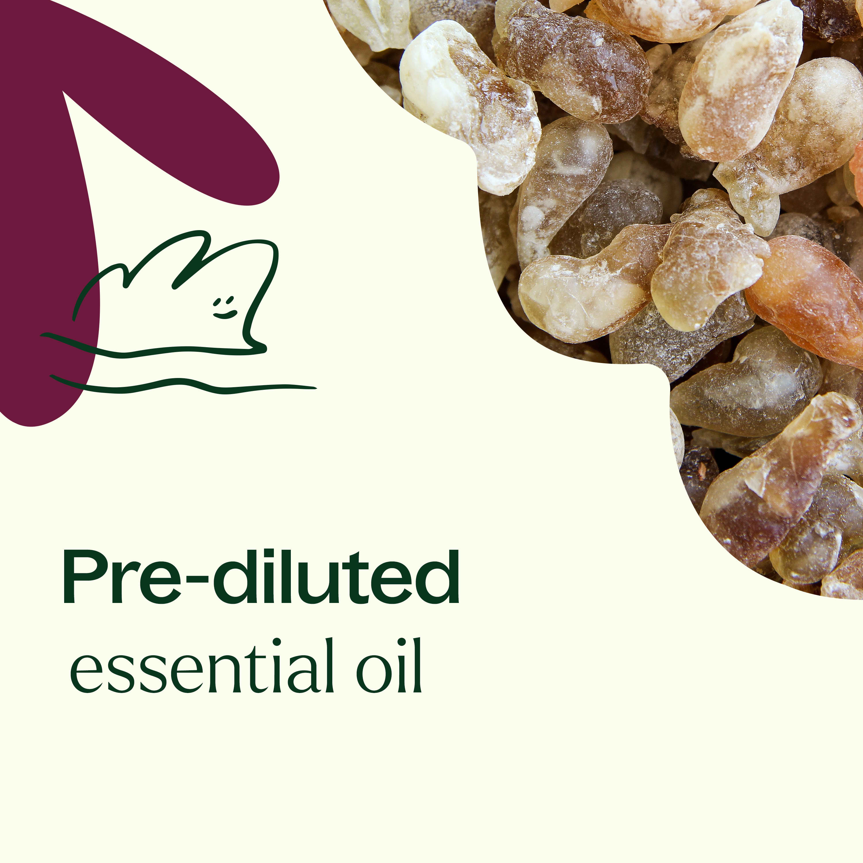 Frankincense Carterii Essential Oil Pre-Diluted Roll-On - Image 4