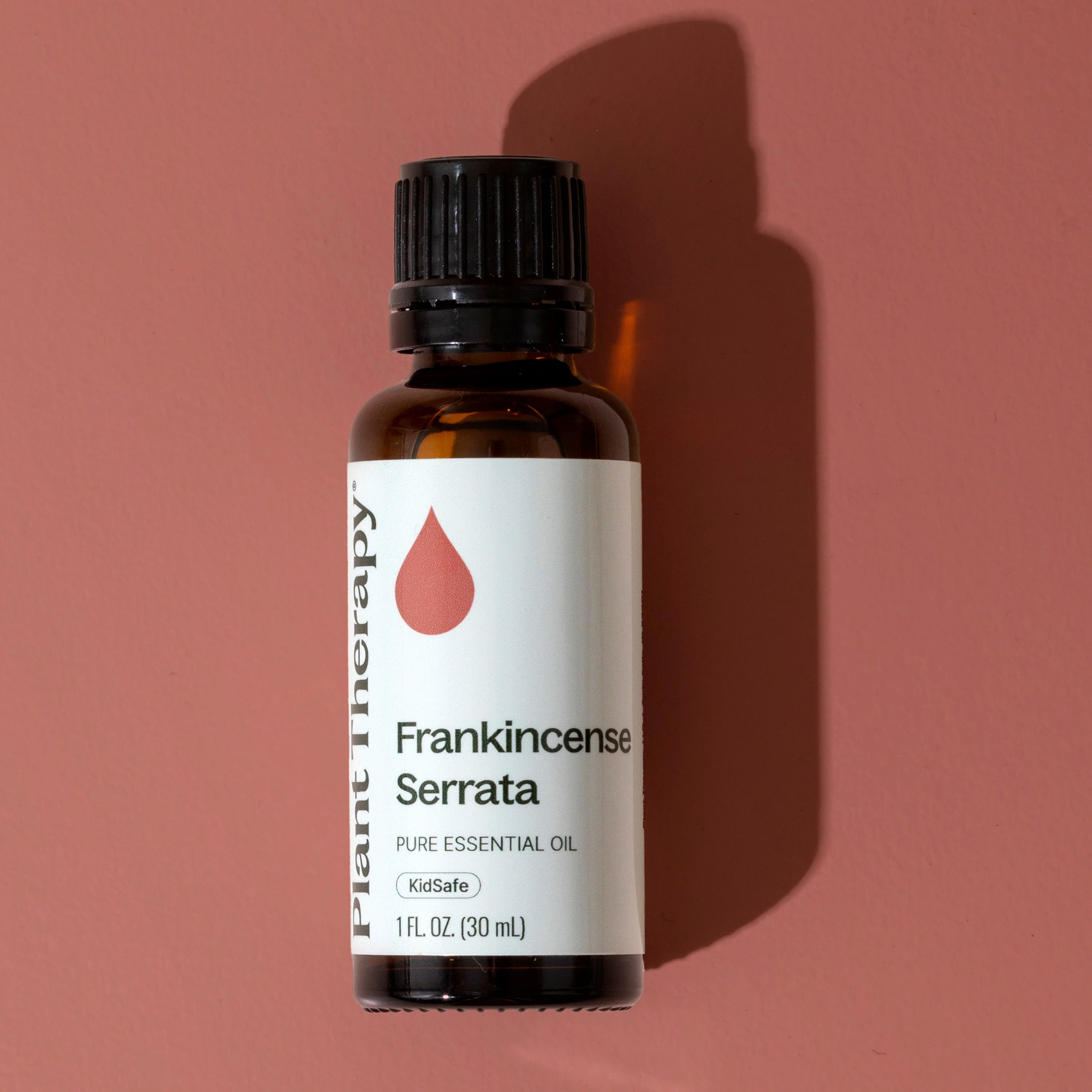Frankincense Serrata Essential Oil - Image 10