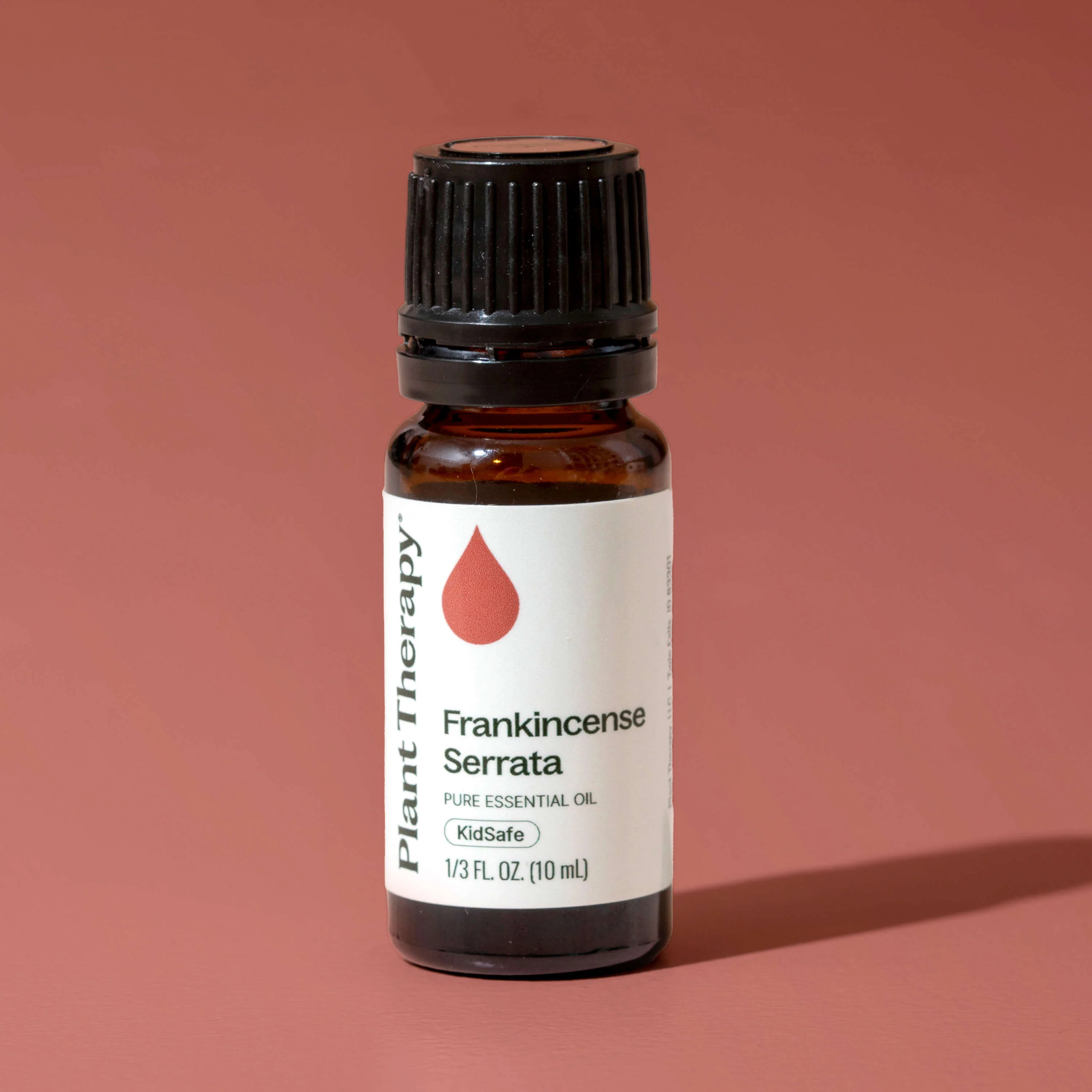 Frankincense Serrata Essential Oil - Image 9