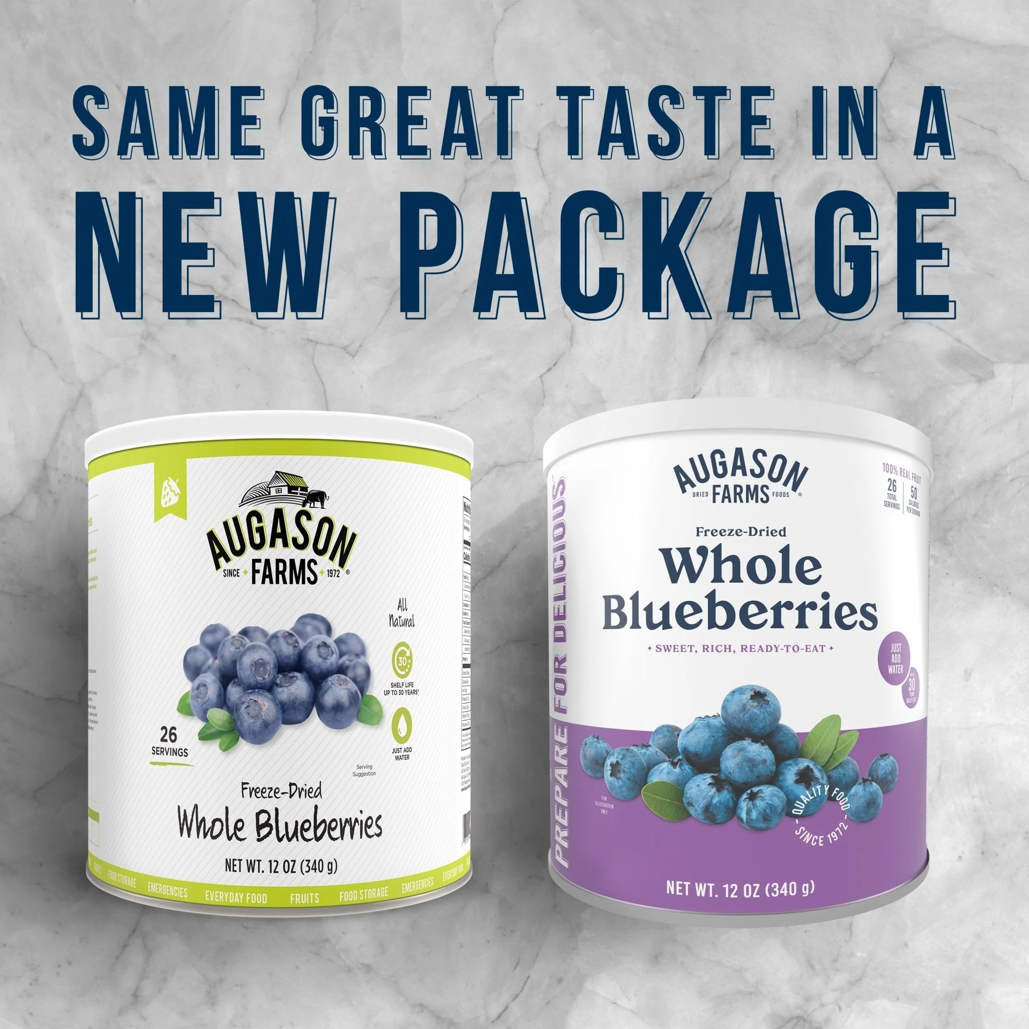 Freeze Dried Whole Blueberries Can, 26 Servings - Image 4