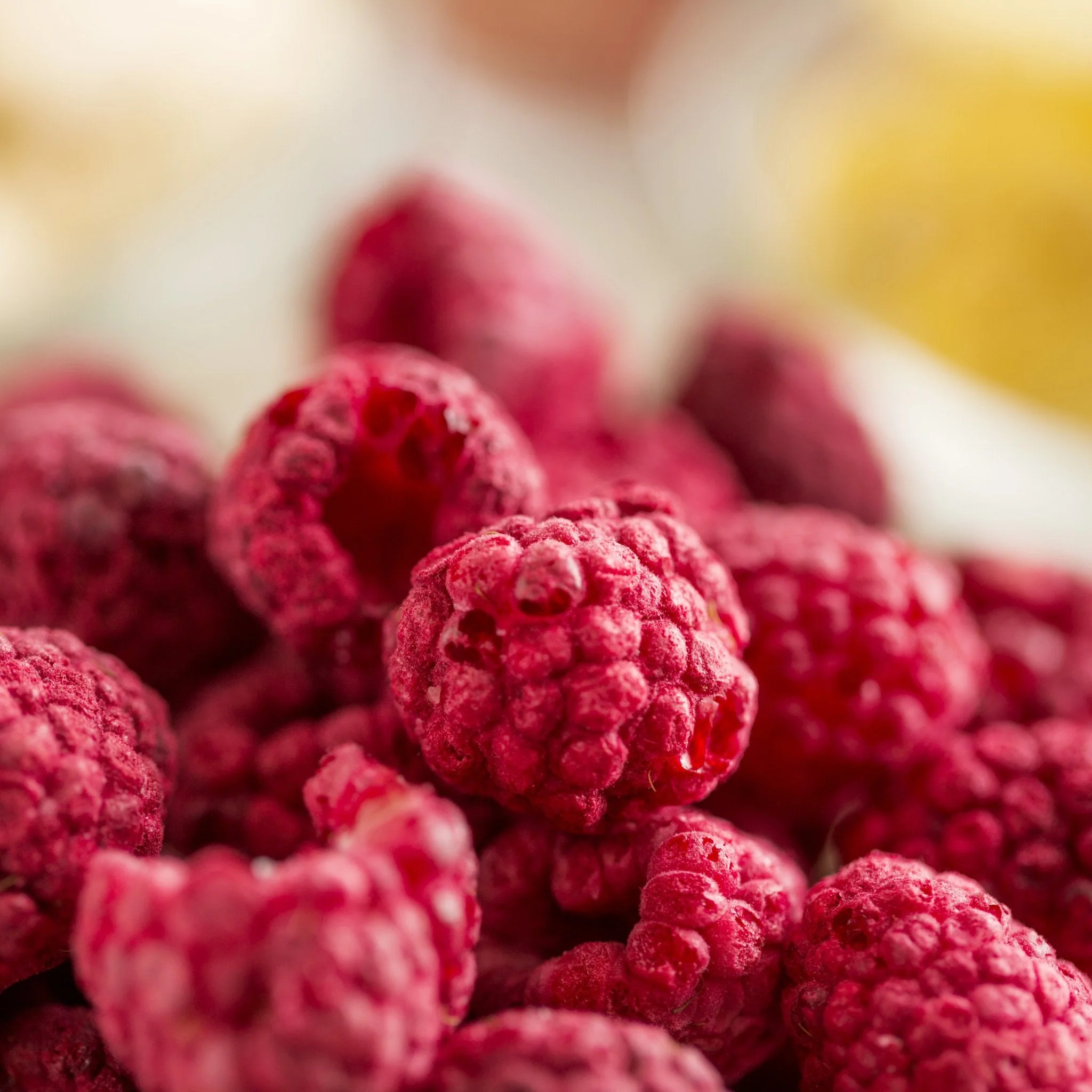 Freeze Dried Whole Raspberries Can, 23 Servings - Image 5